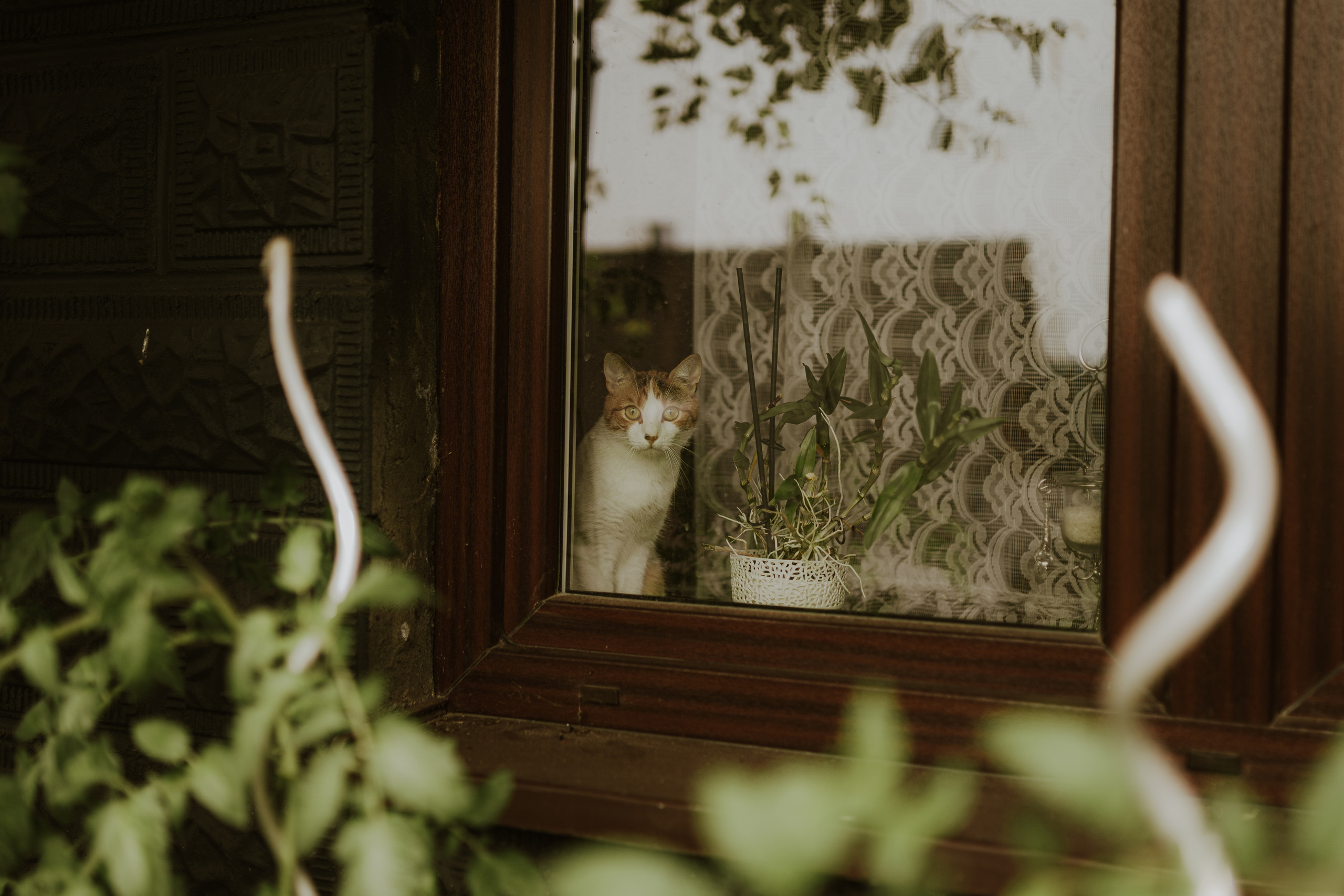 Ania&Jasiek. Karkowskafoto - fotografia miłości