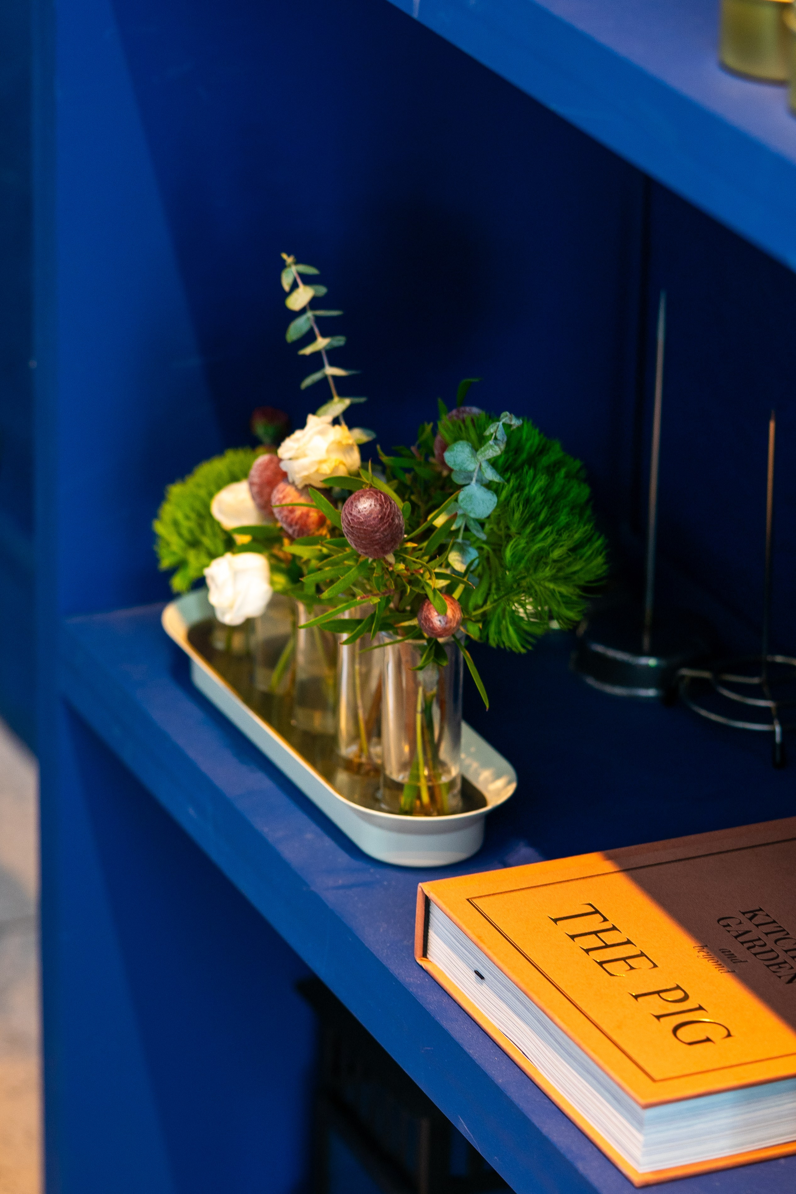 Borboleta. Maria Sher. Fotógrafa profissional do Porto, Portugal