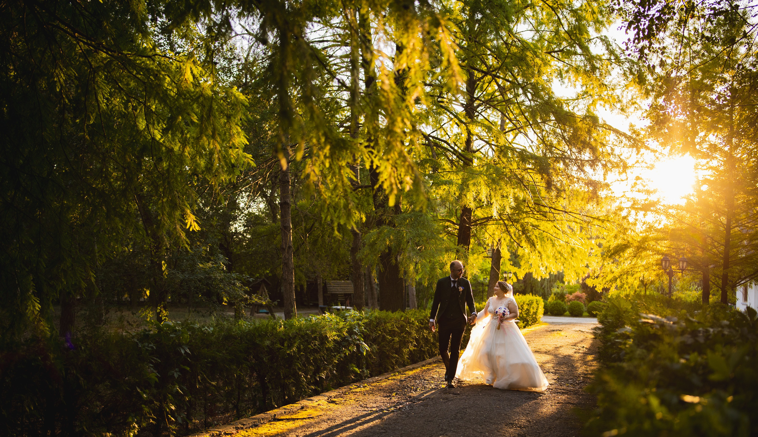 Portofoliu Fotograf Nunta Tulcea — Selectii | Codux. Codux — Fotograf Tulcea | Fotograf Evenimente