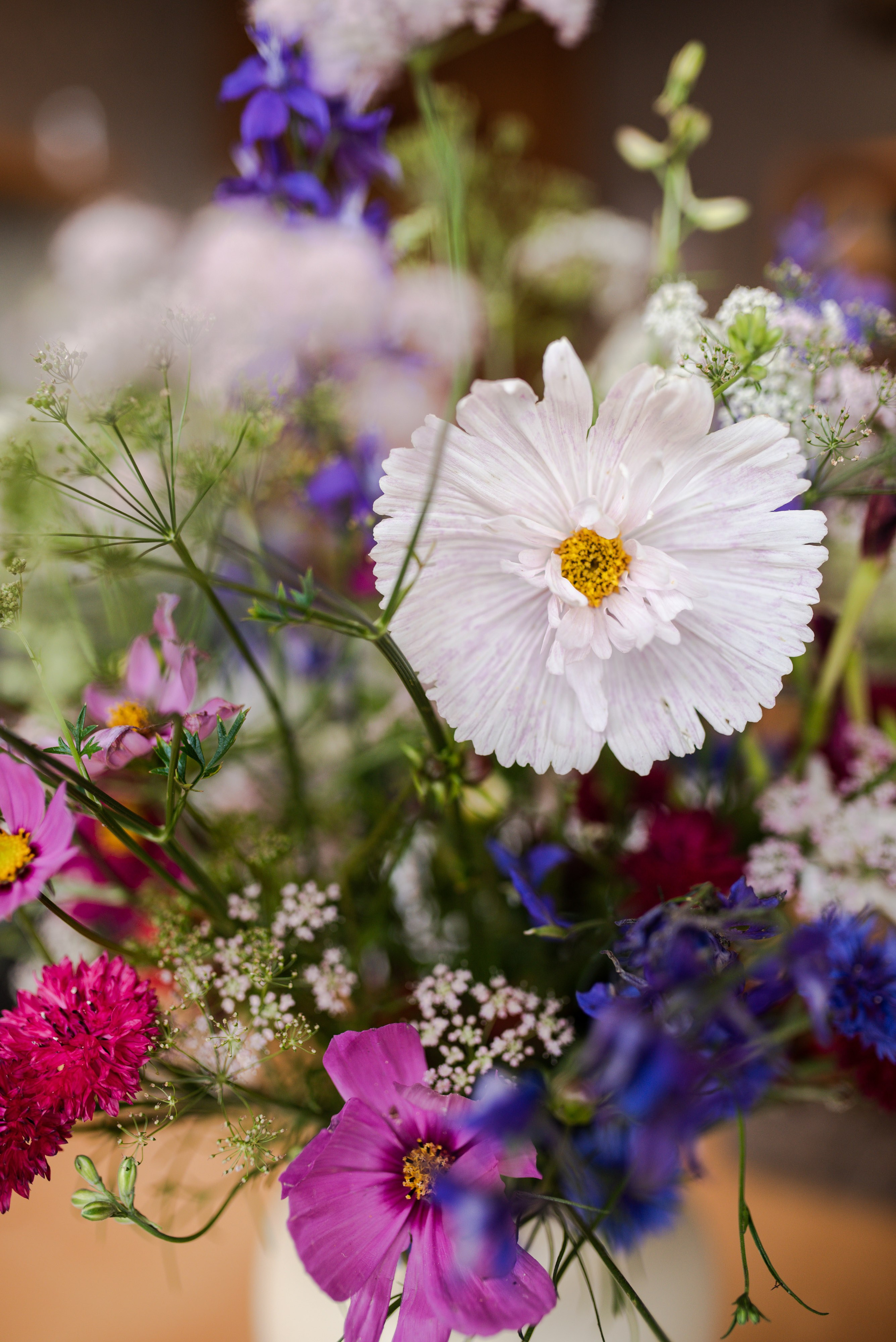 Kräutergarten Wipptal. Familienfotografin aus Sterzing Elena Muehlsteiger