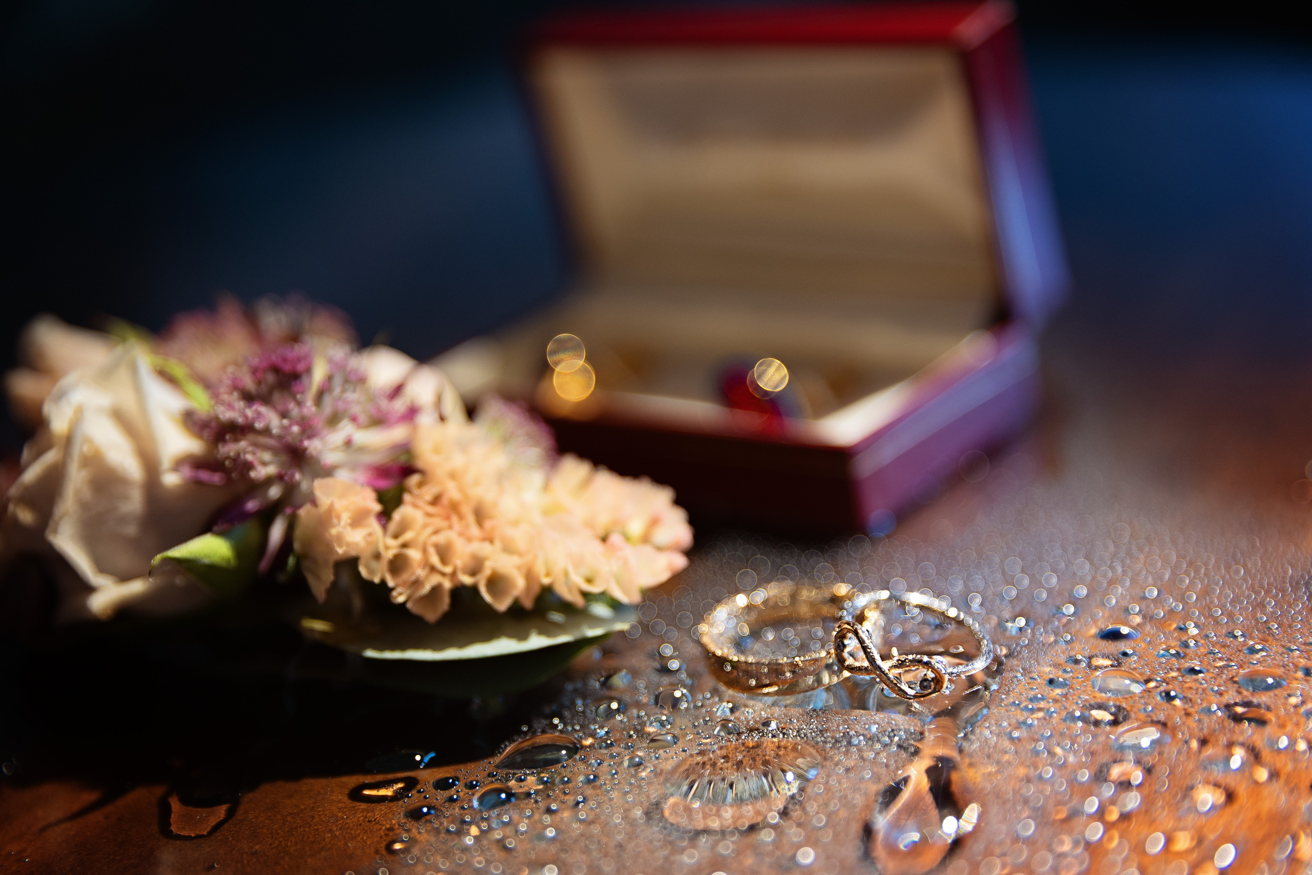 Oxana Gruber Fotograf