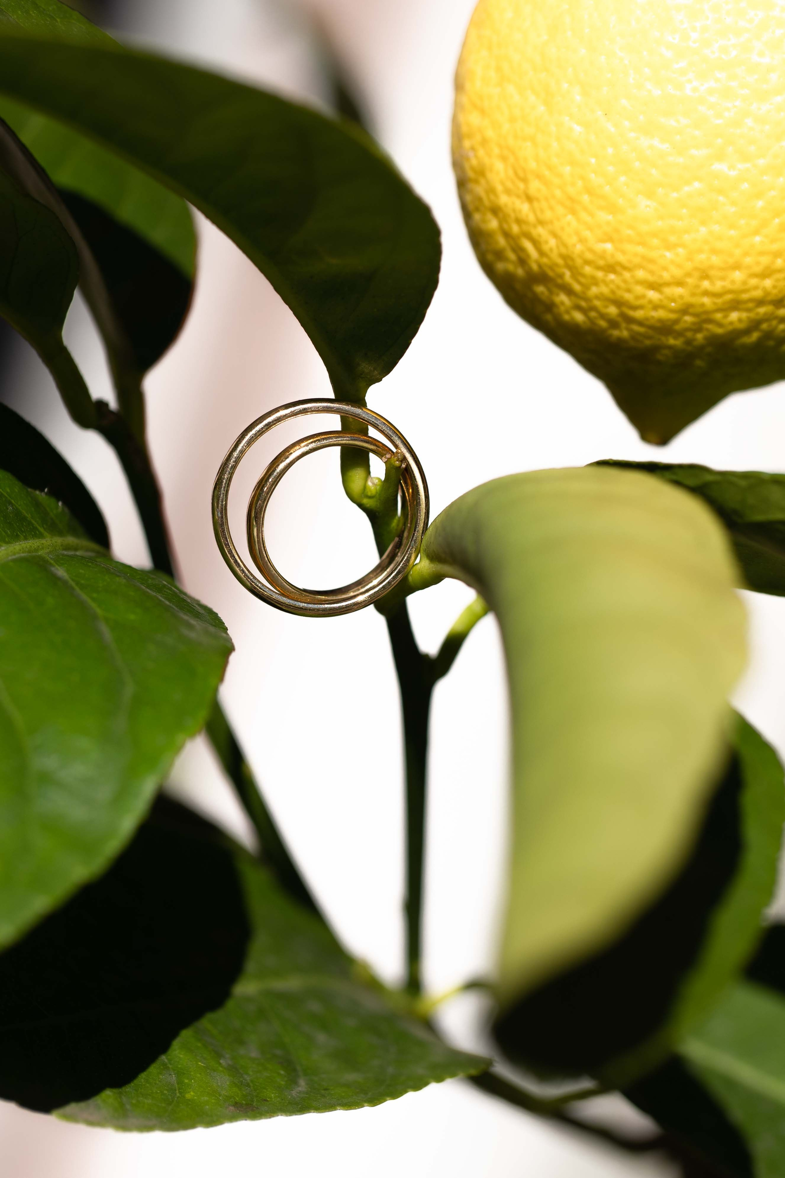 Poroke. Photographer Mariia Bortiakova