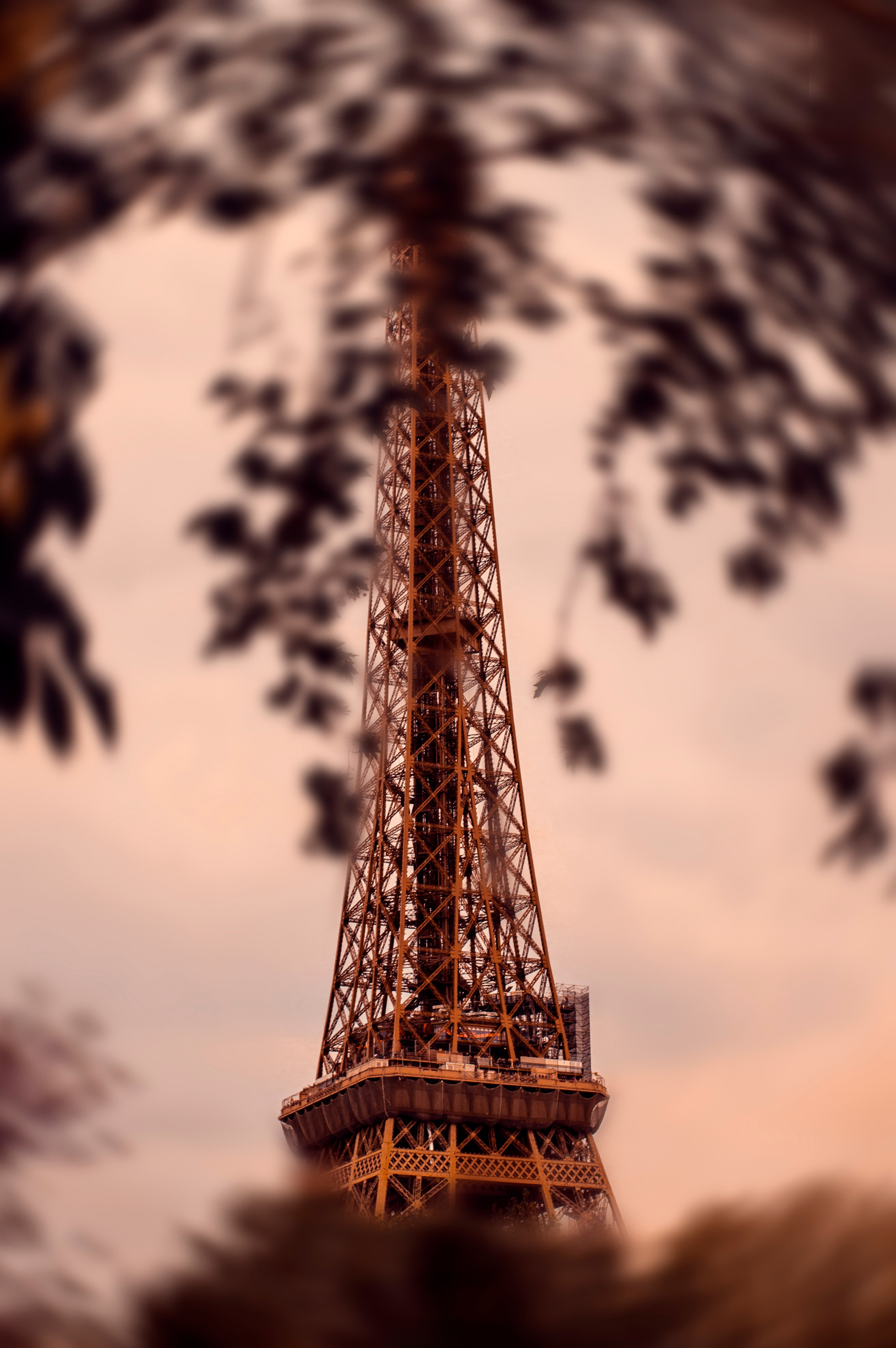 Франция. Анастасия Благова — Твой фотограф в Малаге 🇪🇸