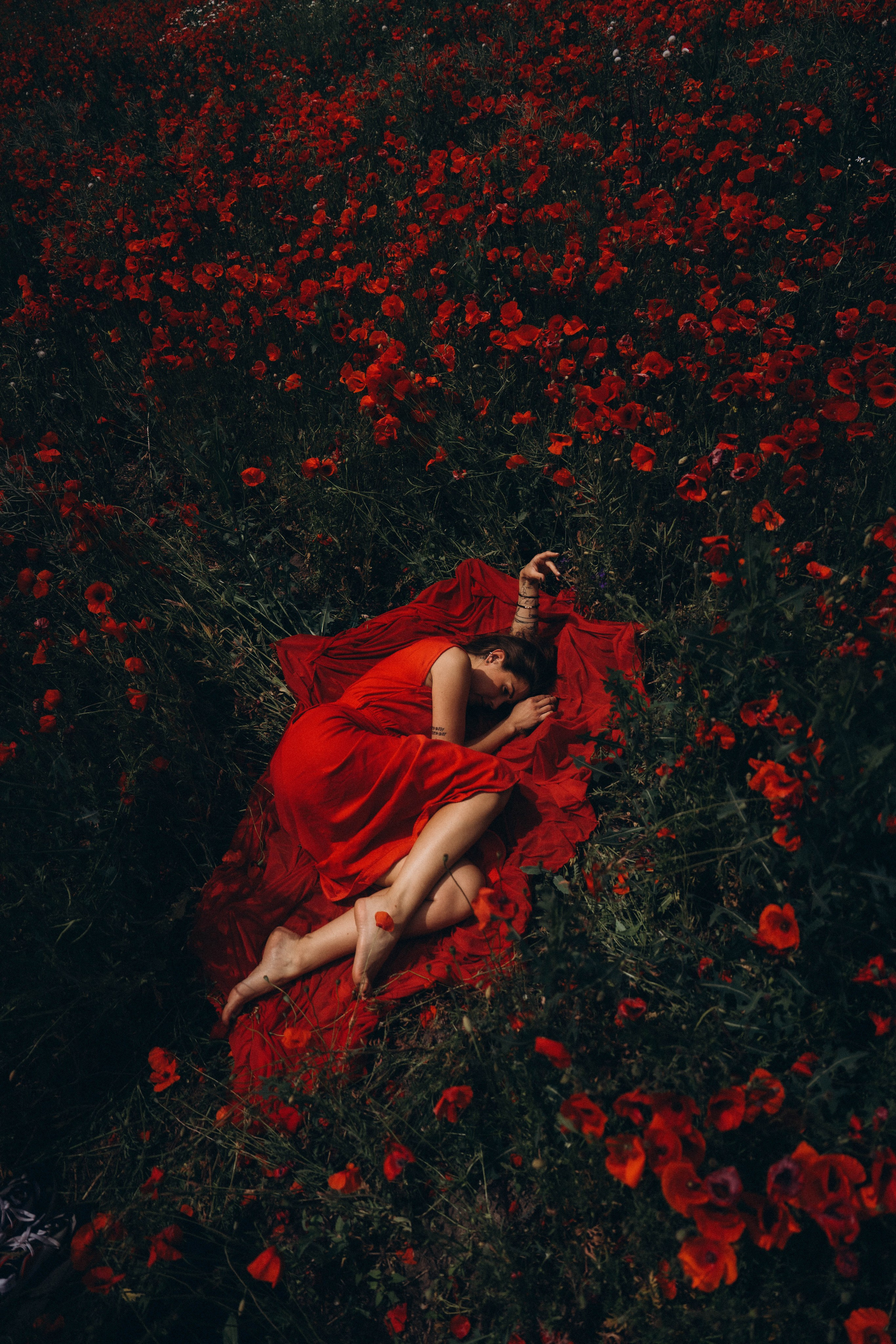 Mák. Fotograf Teplice // Alexandra Ribola