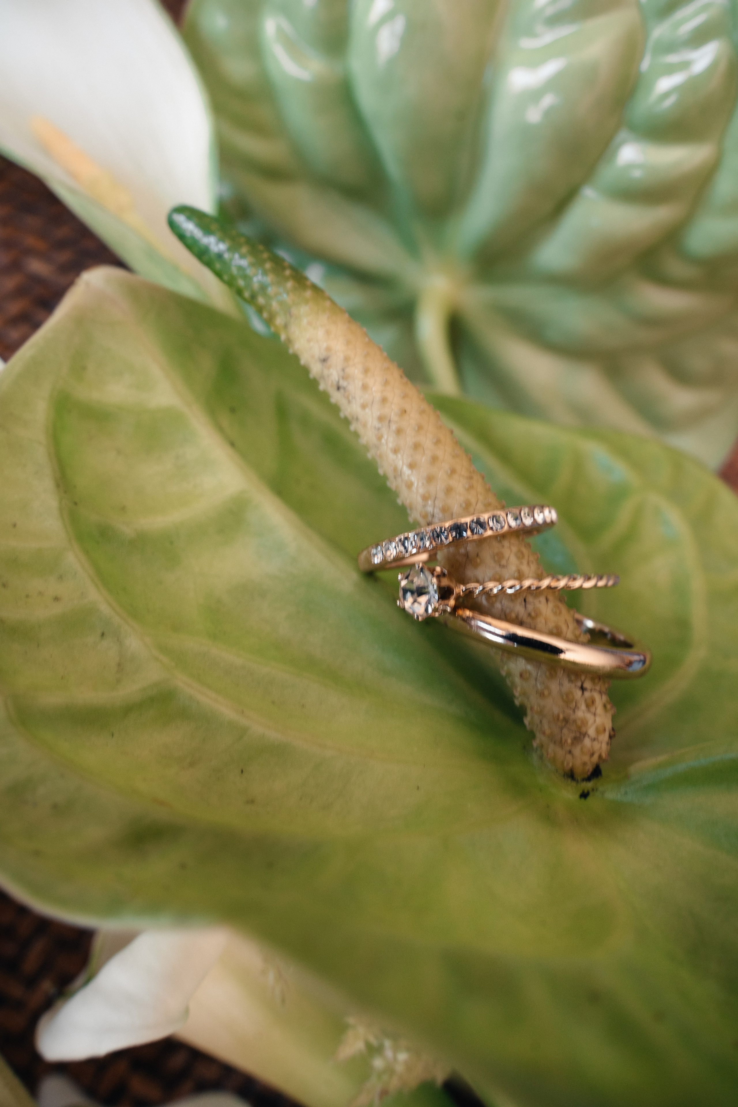 J & P Mallorca, Villa Sacasabona. Hochzeitsfotograf für Moers, Niederrhein, Düsseldorf, NRW und Deutschland