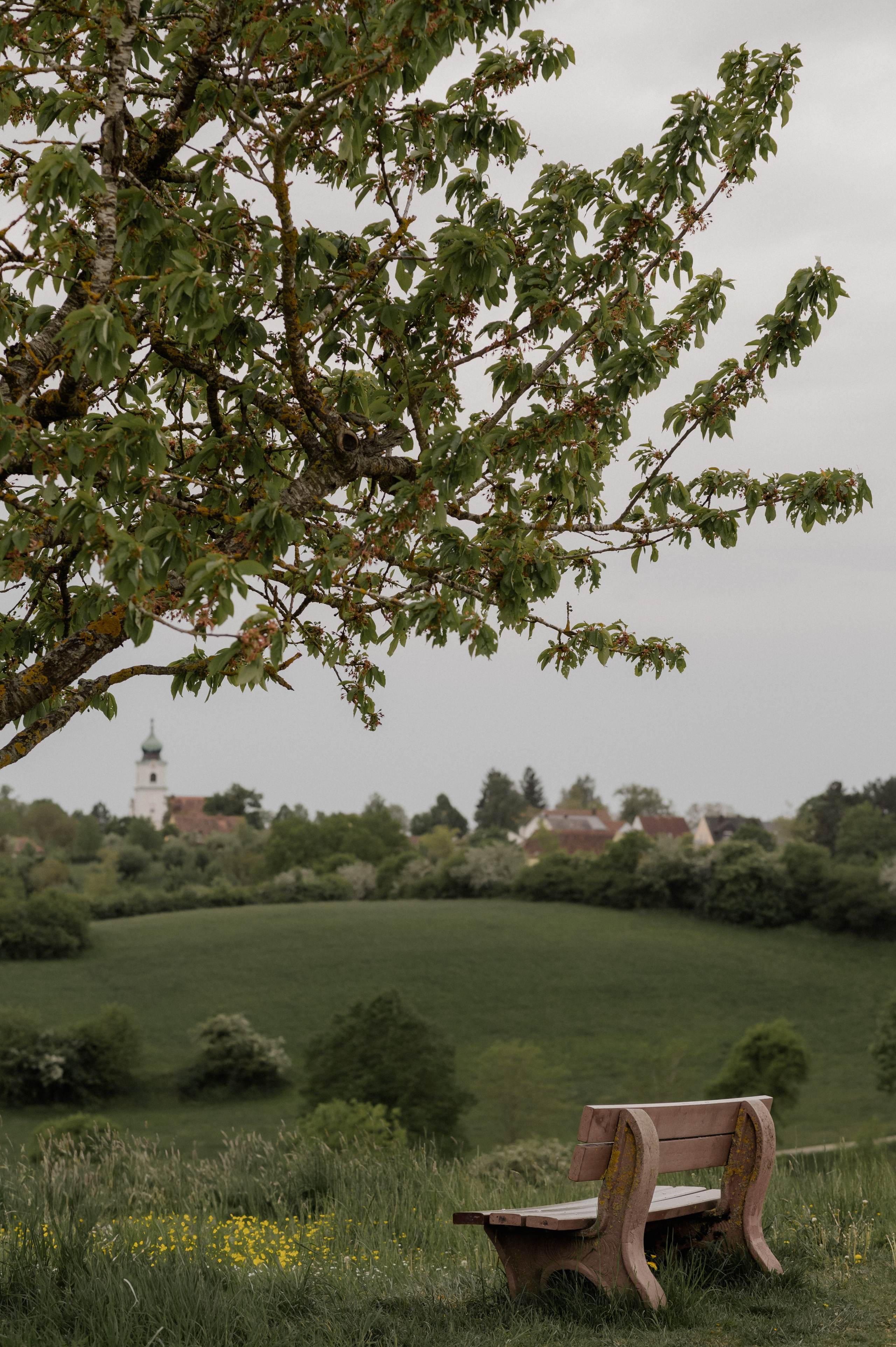RAINY DAY IN HERRIEDEN. Photographer in Nuremberg Irina Mehnert from Ansbach