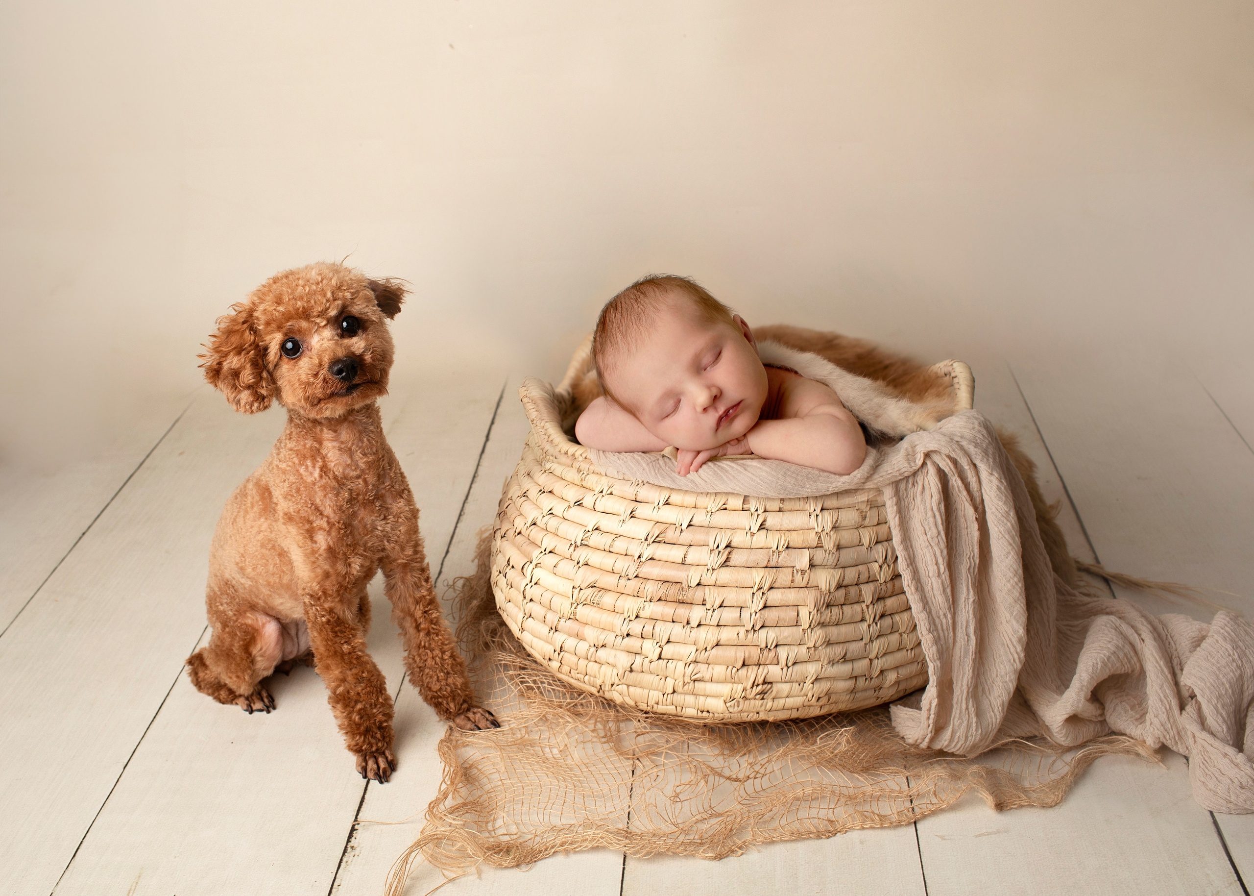 "Söt nyfödd baby som ligger i en mjuk filt med ett lugnt uttryck. Bilden är utmärkt för webbplatser som fokuserar på babyfotografi och nyfödda bilder."