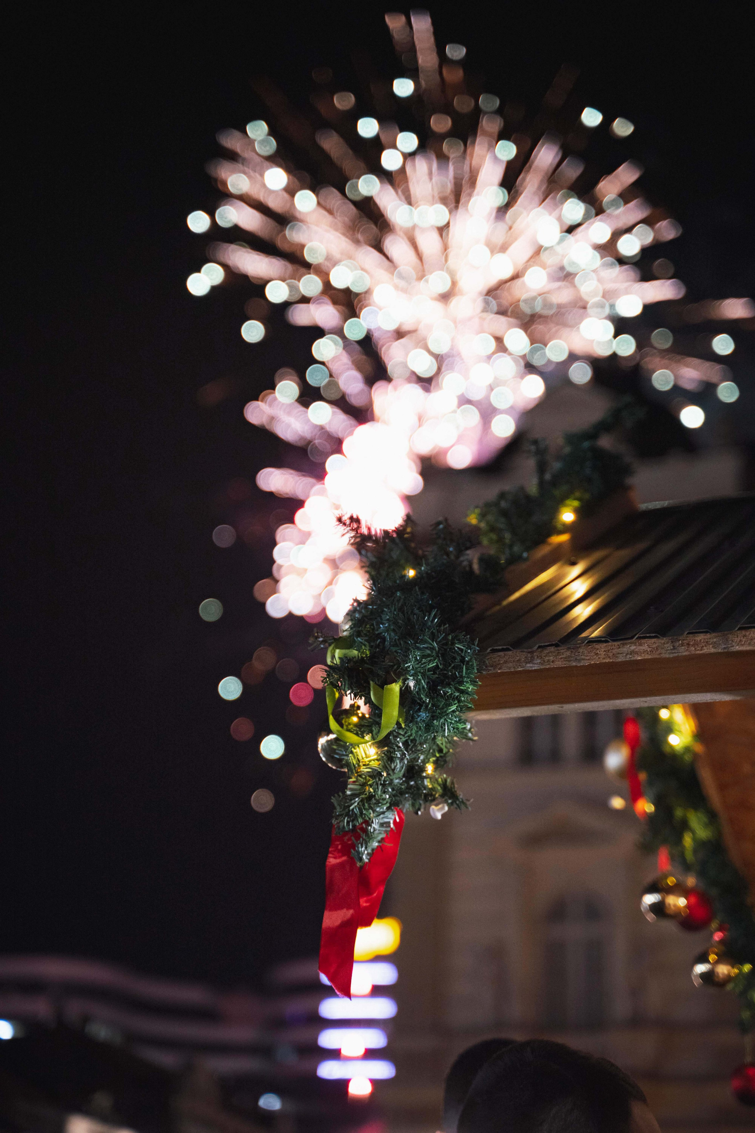 Novosadski Zimzolend. Жуков Студио