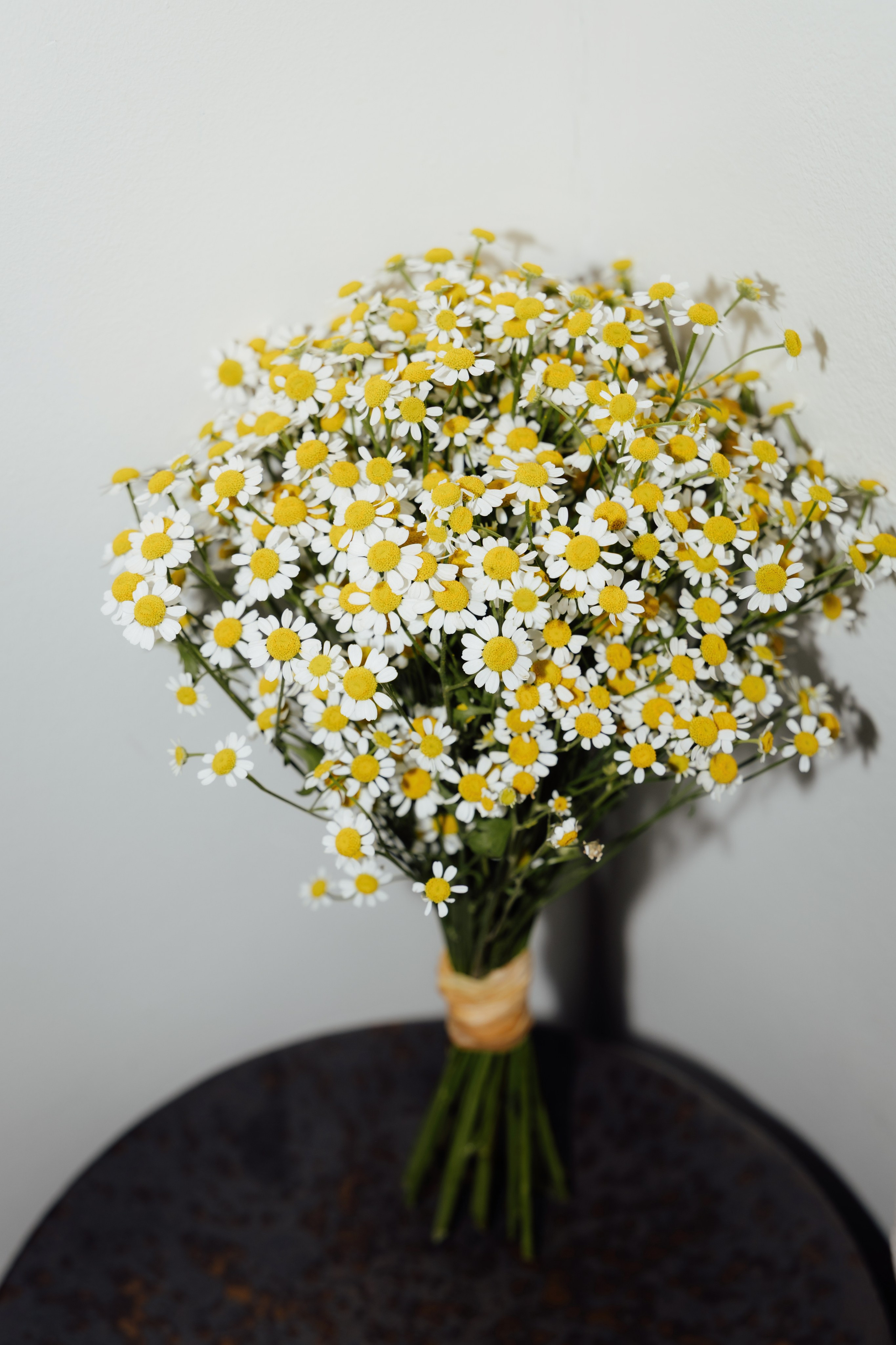 Chelsea Old Town Hall — Poppy & Jordan. Timeless Wedding & Event Photography — based London, working across Europe