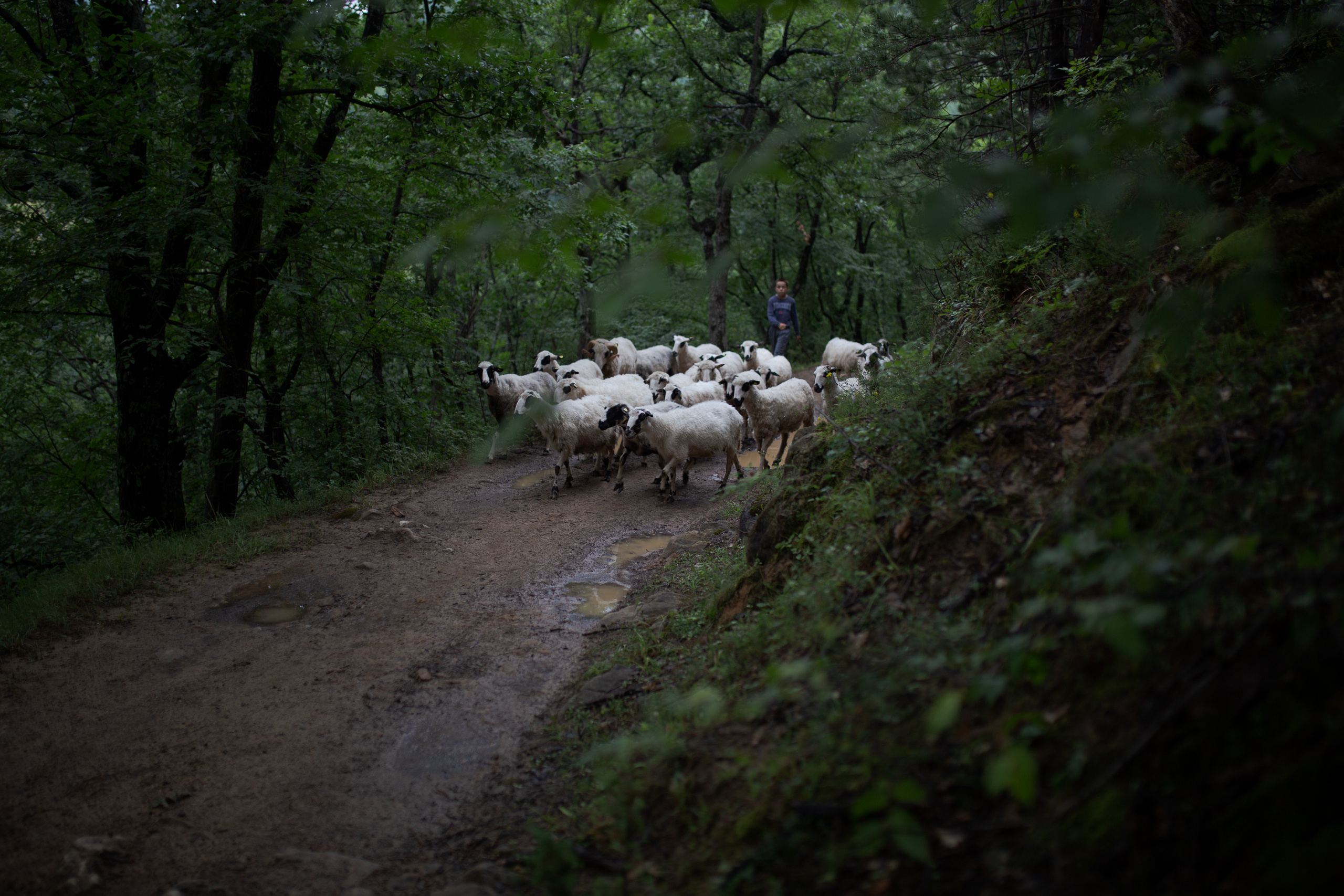 Paket preseta namenjen portretima i uličnoj fotografiji. Mark Smilyanic | Portretni boudoir fotograf iz Beograda