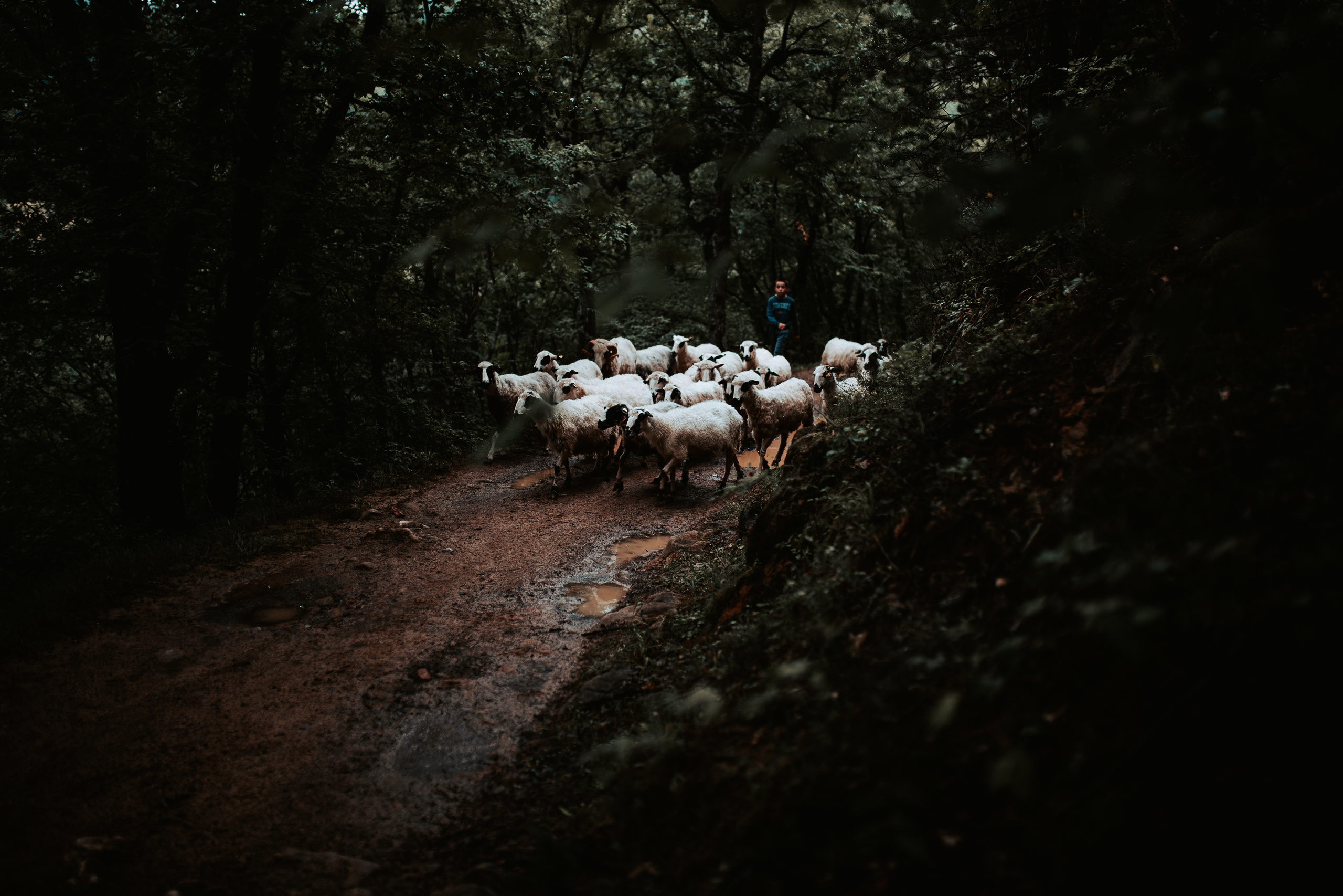 Paket preseta namenjen portretima i uličnoj fotografiji. Mark Smilyanic | Portretni boudoir fotograf iz Beograda