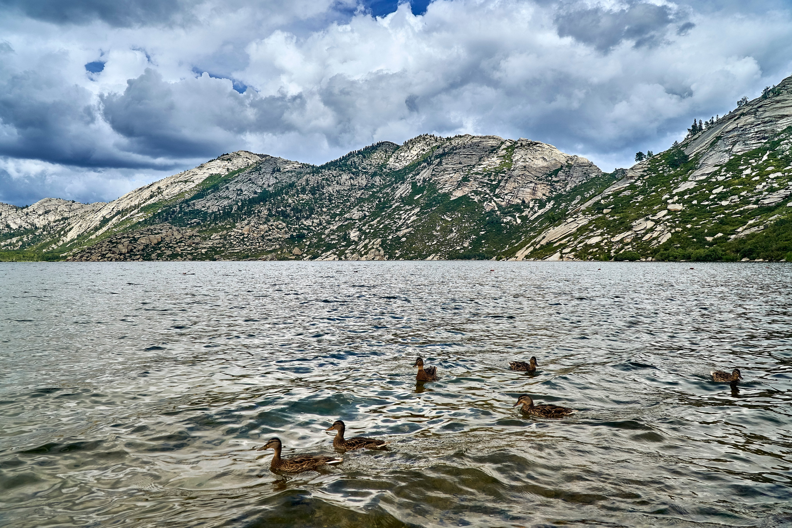 Sibiny (Kazachstan). Andriej Szypilow — Photography & Videography