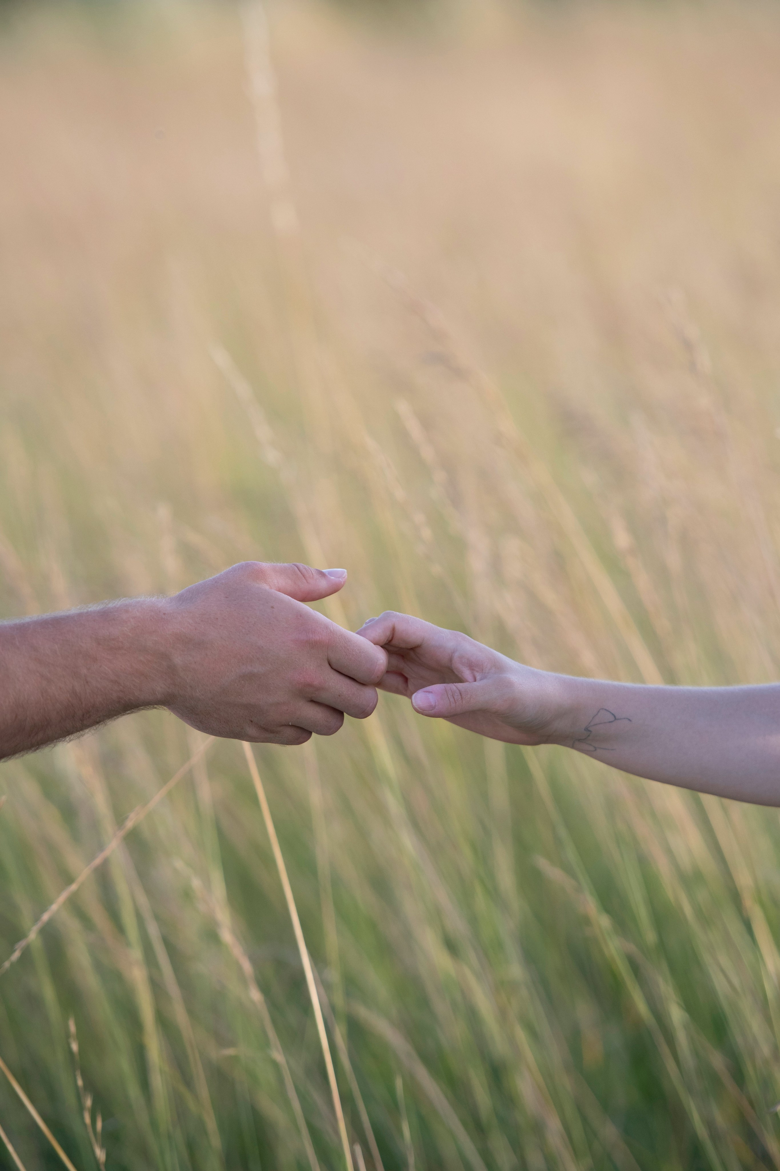 Portfolio. Photographe Mykhaylyk Vladyslav