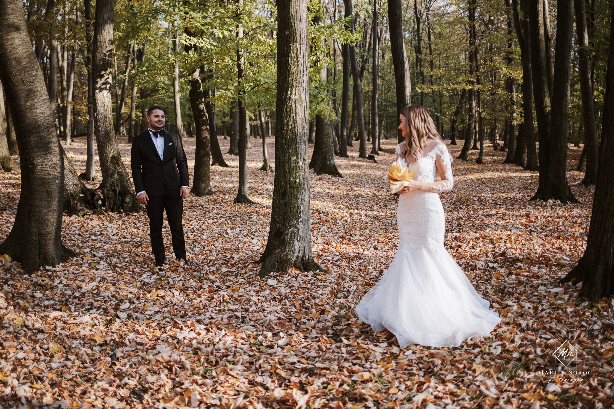 Alexandra & Laurentiu | Padurea Bucium Iasi
