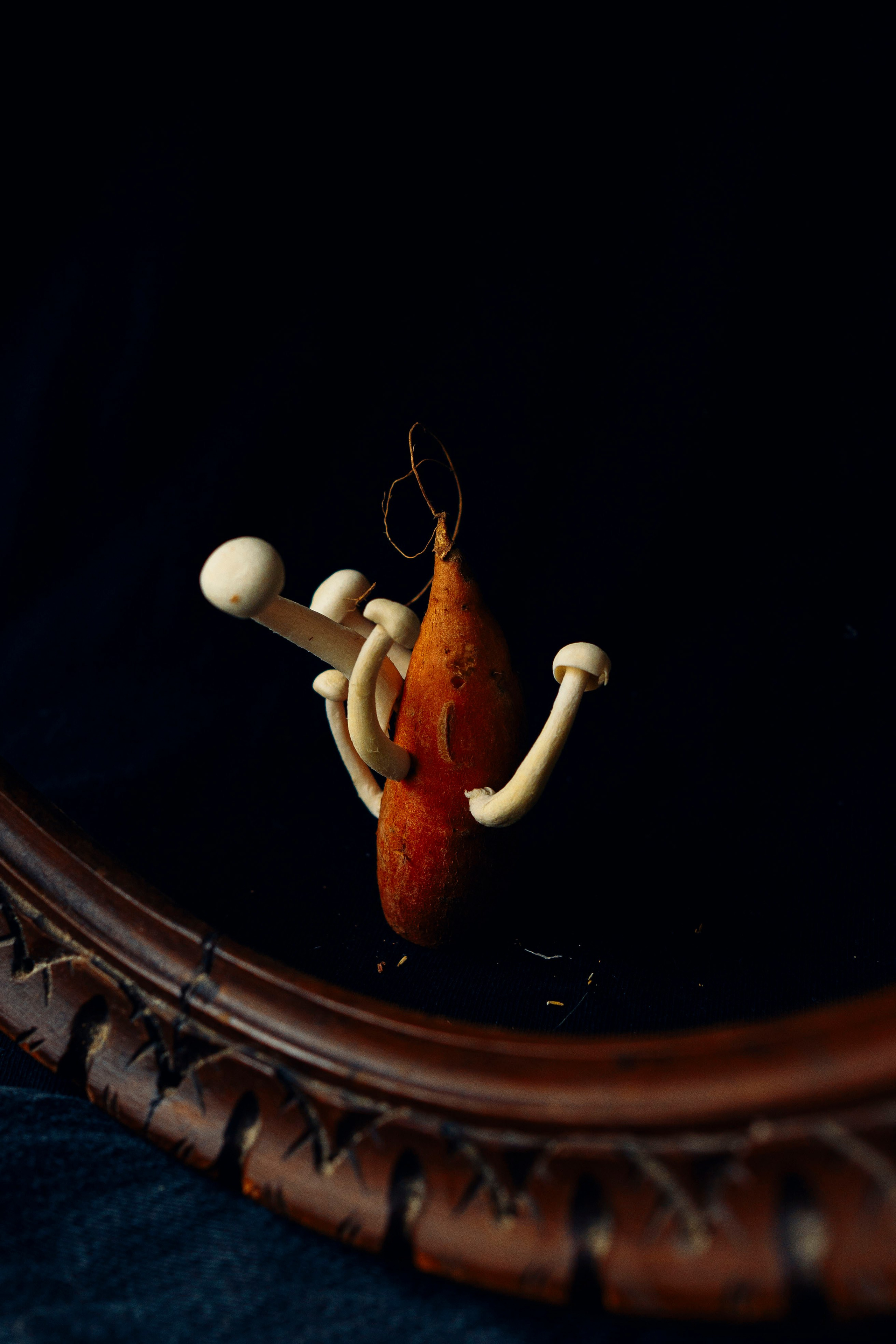 Sweet potato & mushrooms. Maria Sher. Fotógrafa profissional do Porto, Portugal