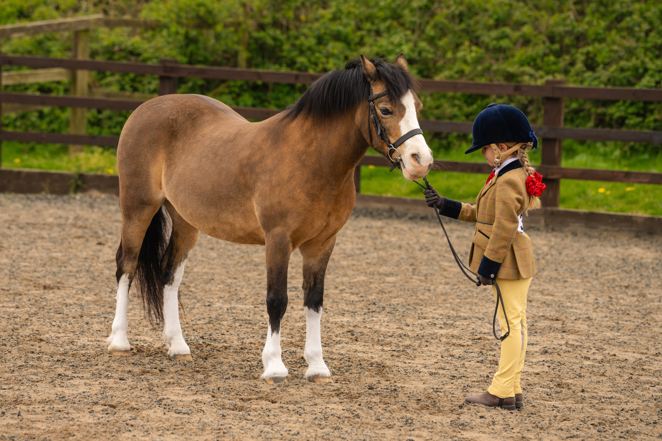 Show Jumping Photography in Leicestershire | Equine Action Shots by El. Leicestershire Equine Photography by El | Authentic Equine Portraits & Events