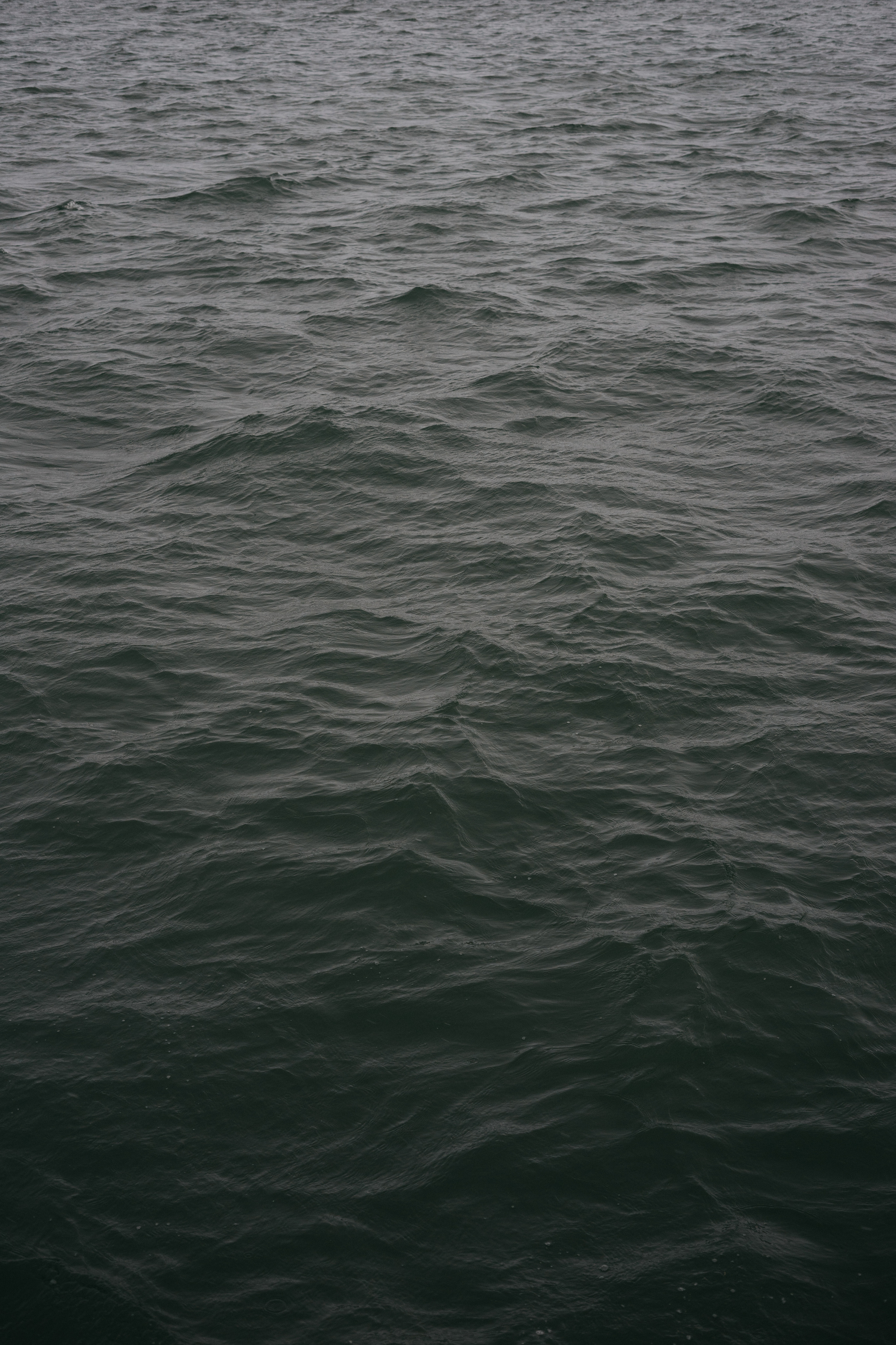 Индивидуальная фотосессия,  Бавария, Ландсхут. Фотограф в Баварии Александра Теш