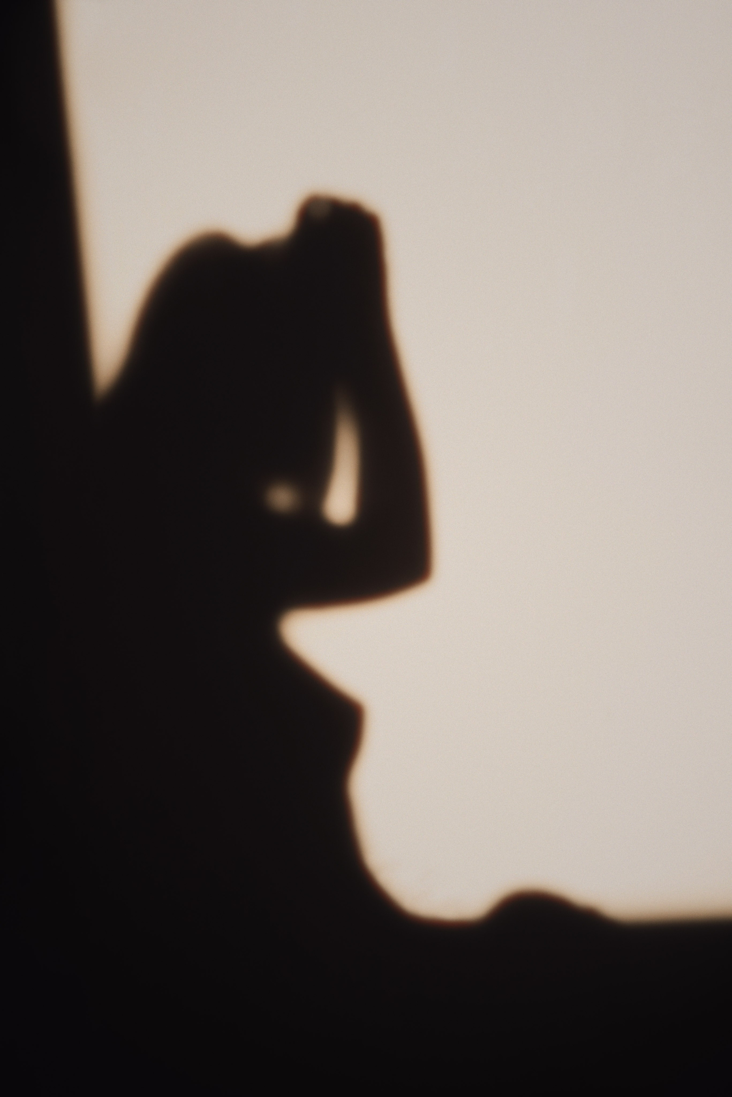 Sunset. Zhukov studio