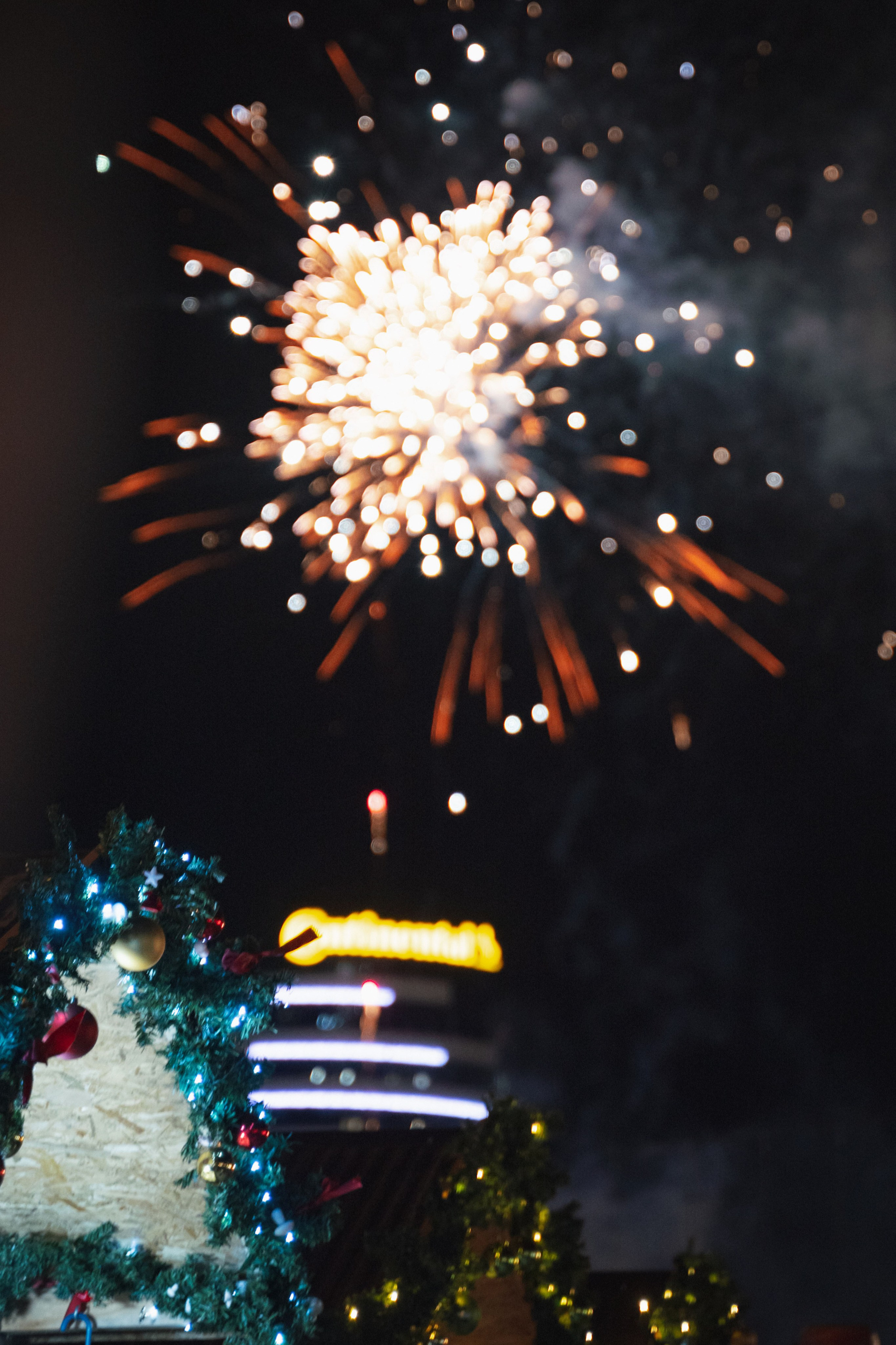 Novosadski Zimzolend. Жуков Студио