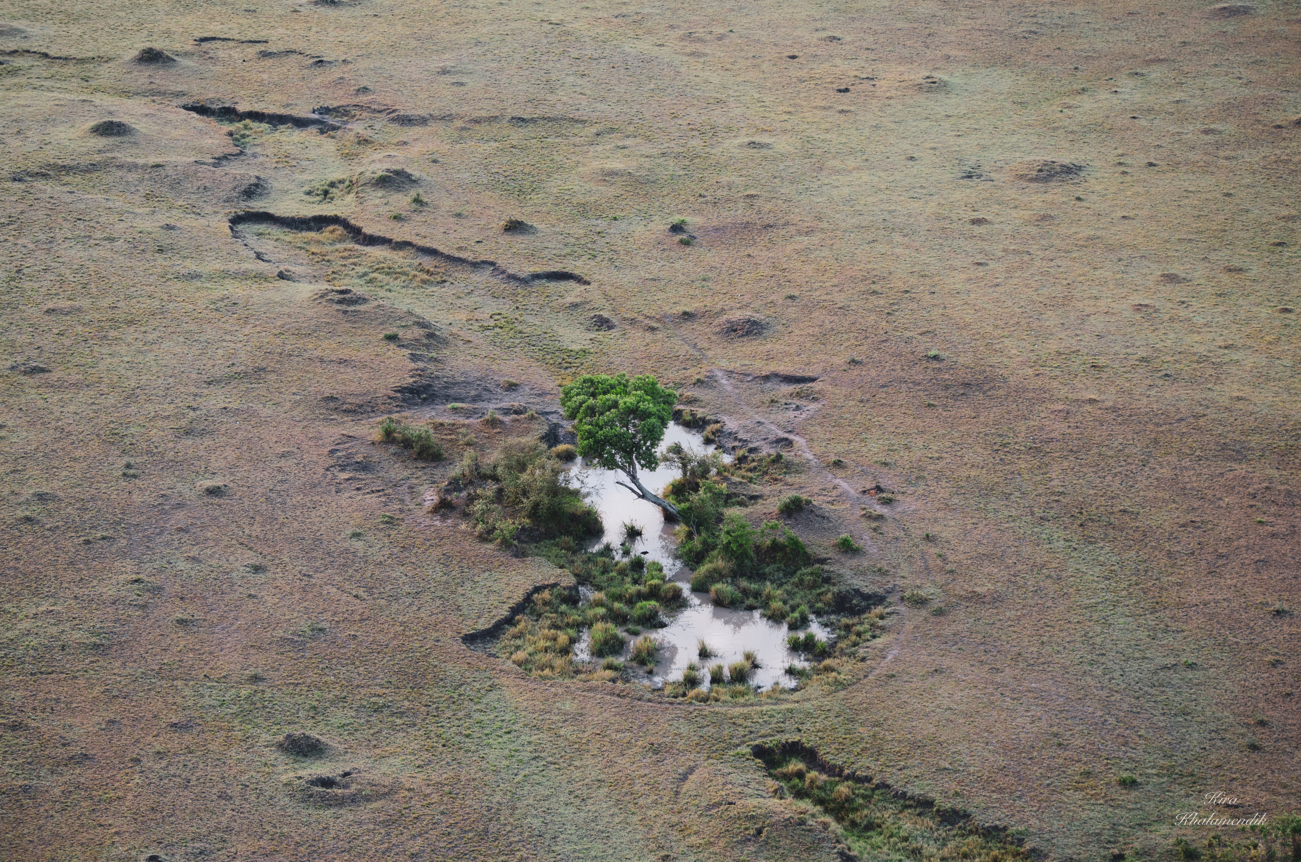 Afrique Centrale (paysages, animaux). Милок и Кирок это позитивные и реальные персоны из Люксембурга, много