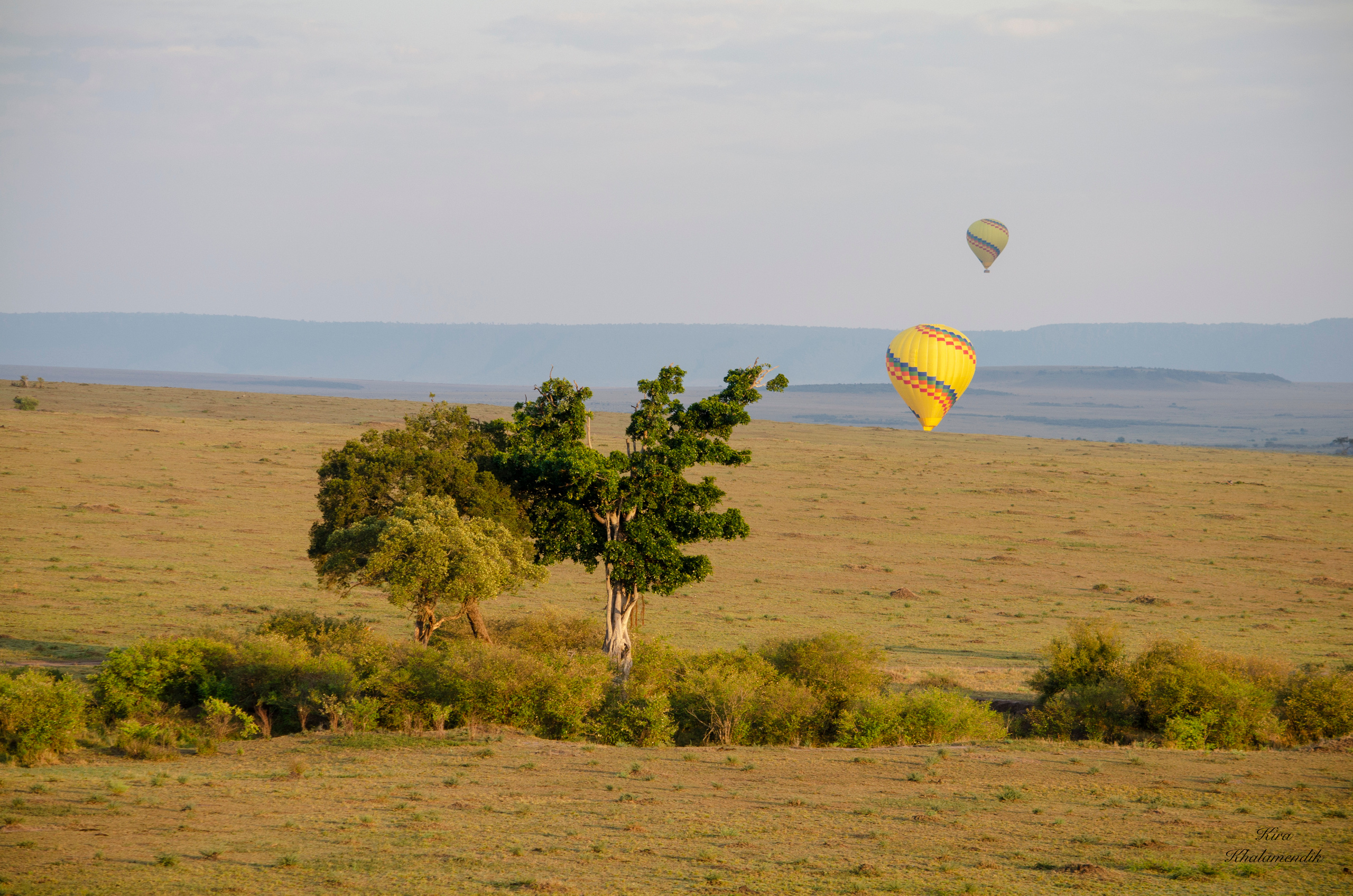 Afrique Centrale (paysages, animaux). Милок и Кирок это позитивные и реальные персоны из Люксембурга, много