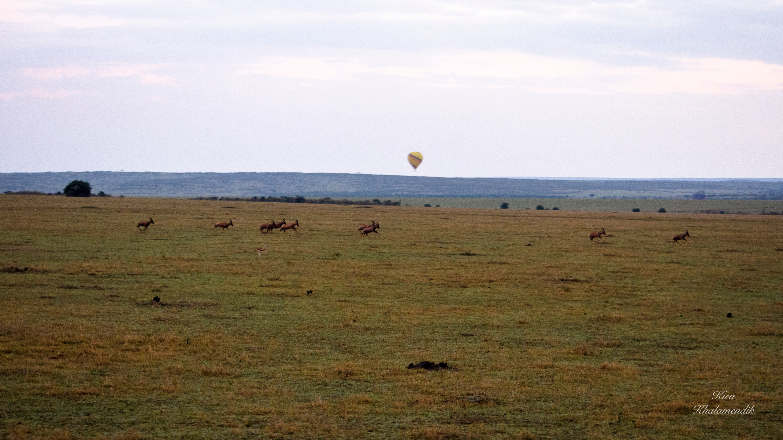 Afrique Centrale (paysages, animaux). Милок и Кирок это позитивные и реальные персоны из Люксембурга, много