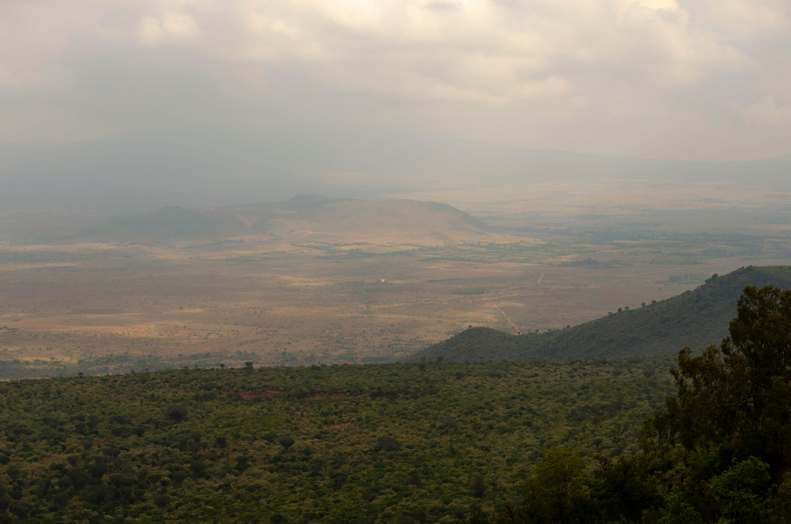 Afrique Centrale (paysages, animaux). Милок и Кирок это позитивные и реальные персоны из Люксембурга, много