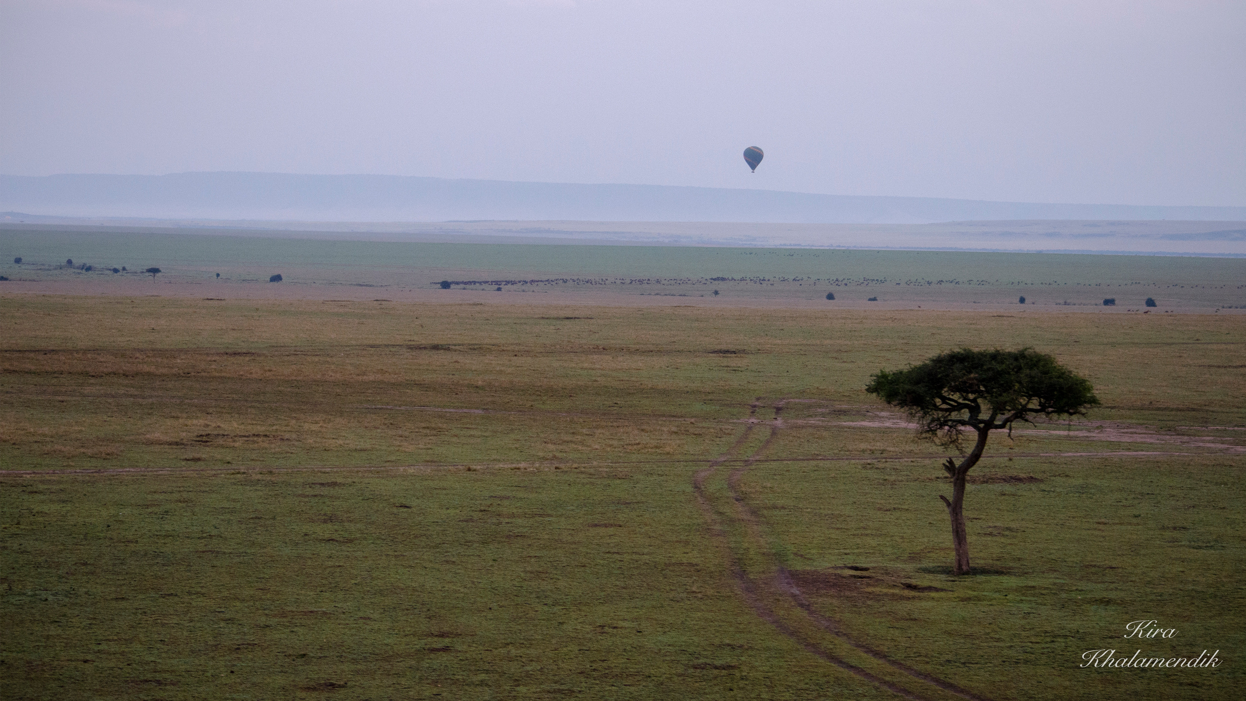 Afrique Centrale (paysages, animaux). Милок и Кирок это позитивные и реальные персоны из Люксембурга, много