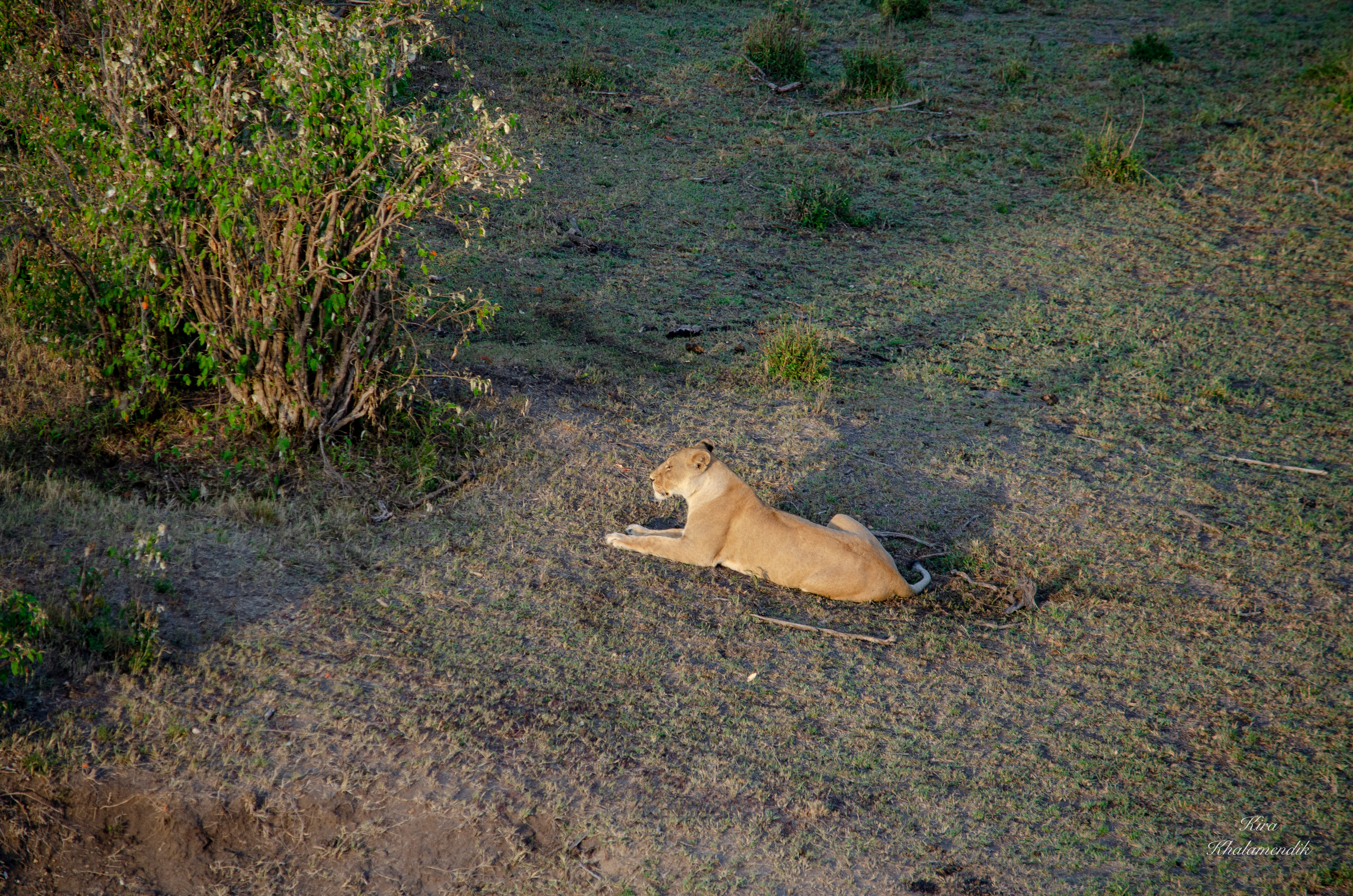 Afrique Centrale (paysages, animaux). Милок и Кирок это позитивные и реальные персоны из Люксембурга, много