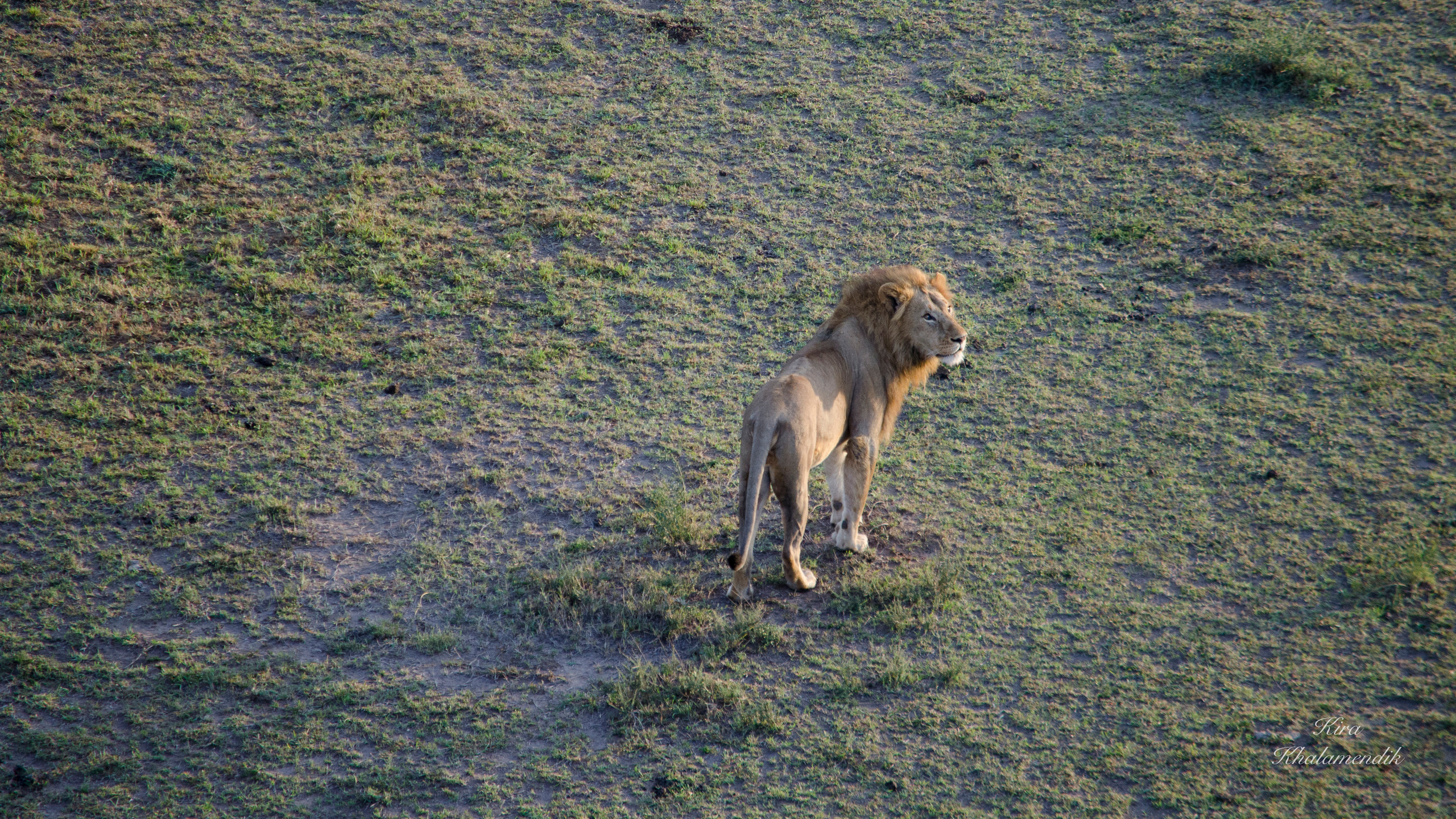 Afrique Centrale (paysages, animaux). Милок и Кирок это позитивные и реальные персоны из Люксембурга, много
