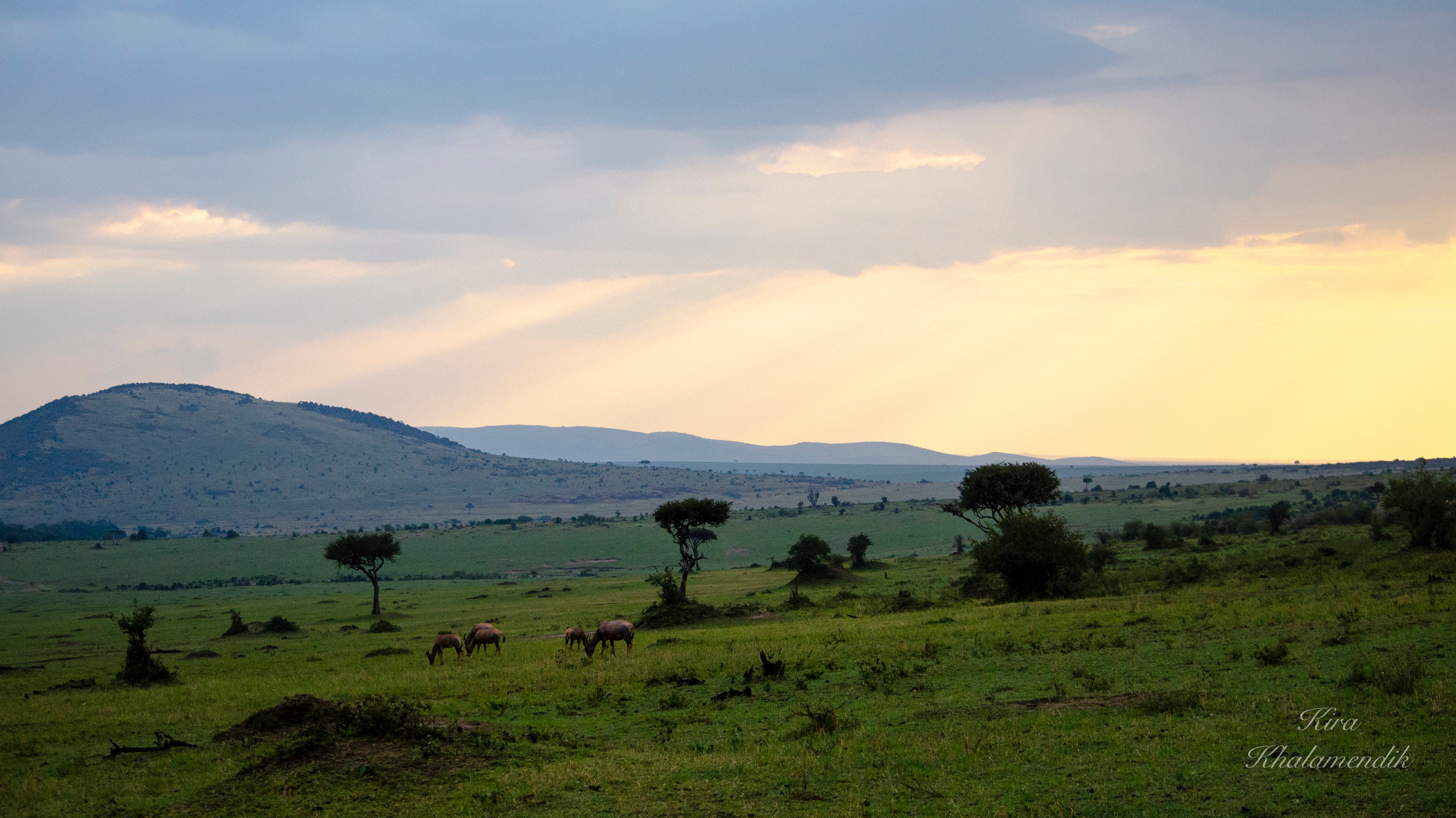 Afrique Centrale (paysages, animaux). Милок и Кирок это позитивные и реальные персоны из Люксембурга, много