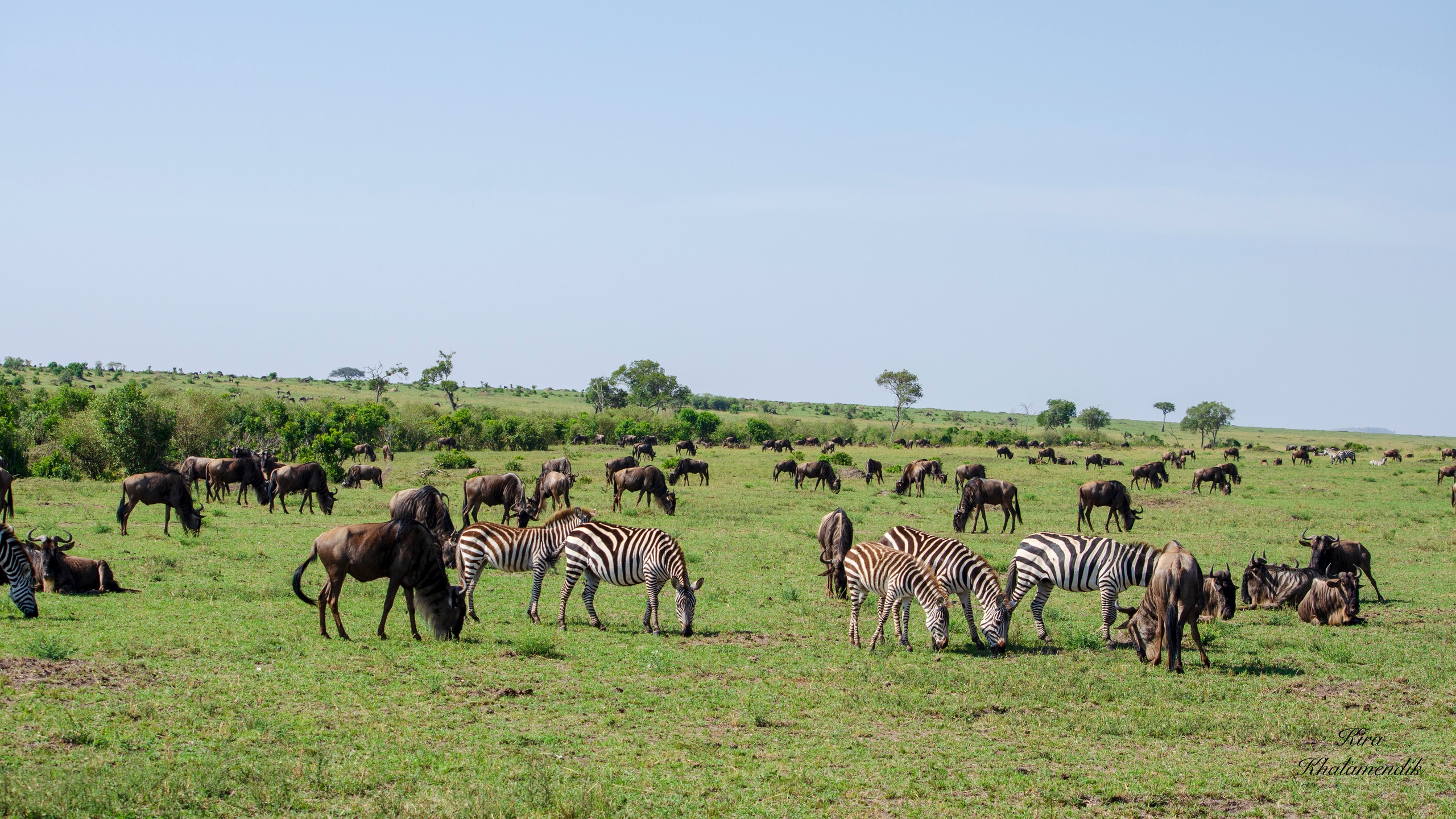 Afrique Centrale (paysages, animaux). Милок и Кирок это позитивные и реальные персоны из Люксембурга, много