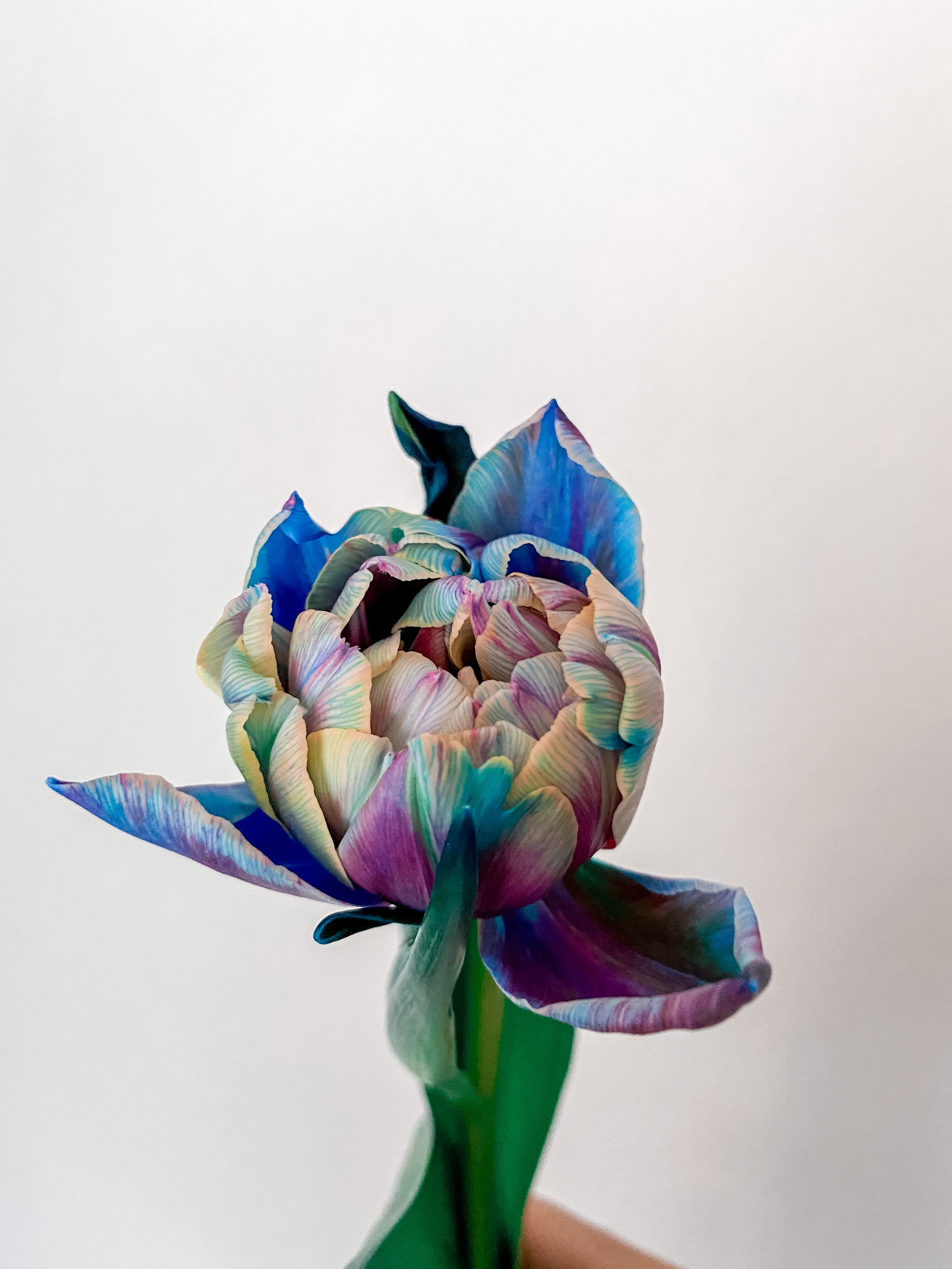 Saint Monica beauty studio in Prague. ANNA-MARIA PHOTO CONTENT CREATOR — фотограф, естет, художник і візуальний експерт Instagram у Празі