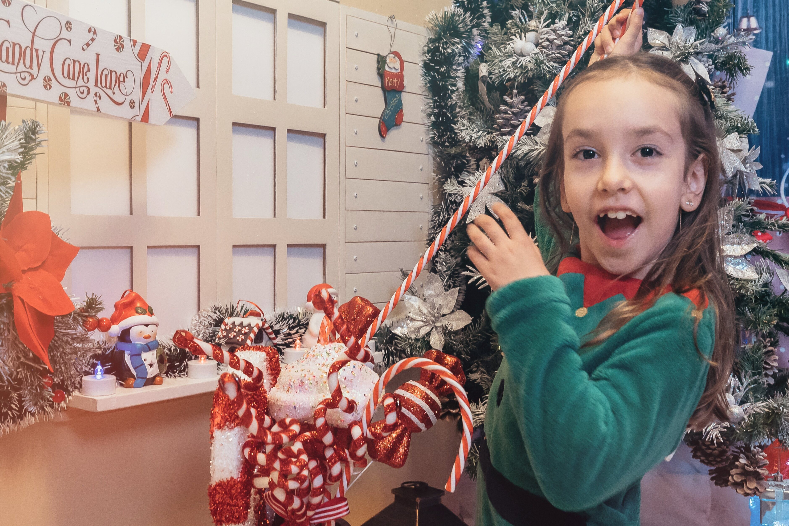 Sedinta Craciun Sofia