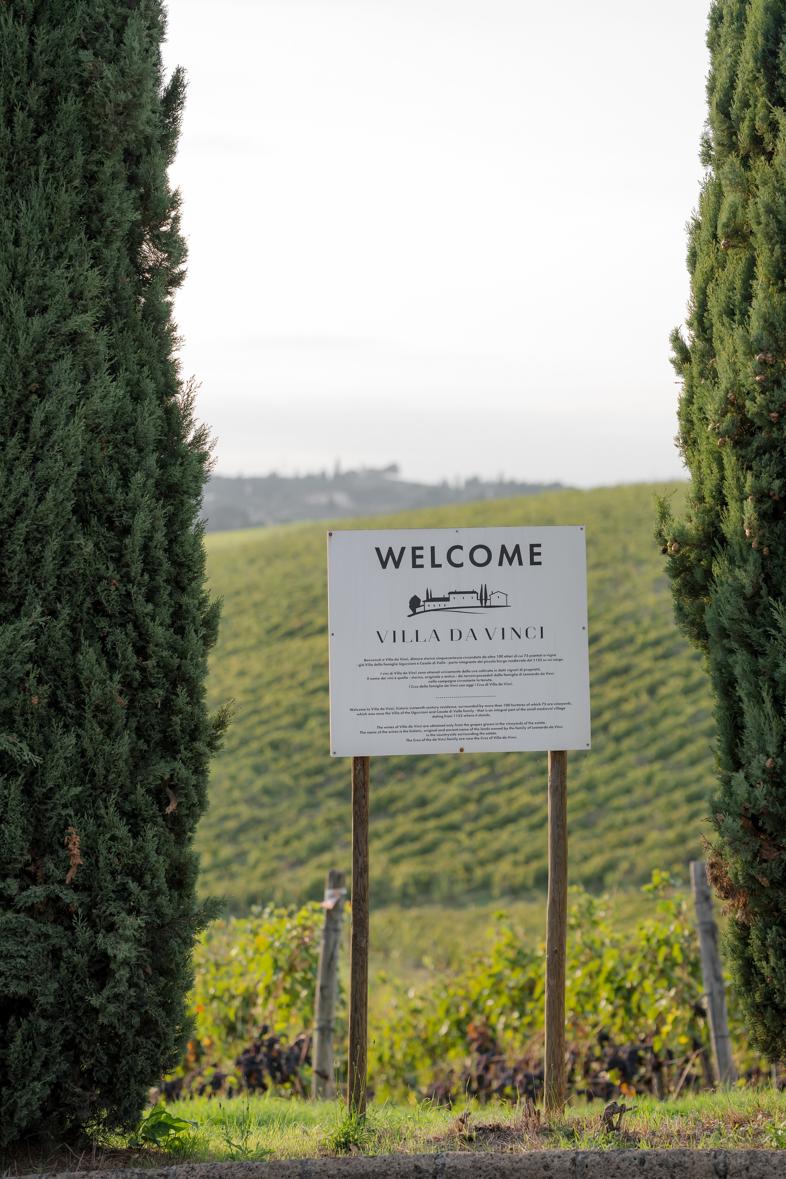 Dom&Ally. Wedding photographer Italy