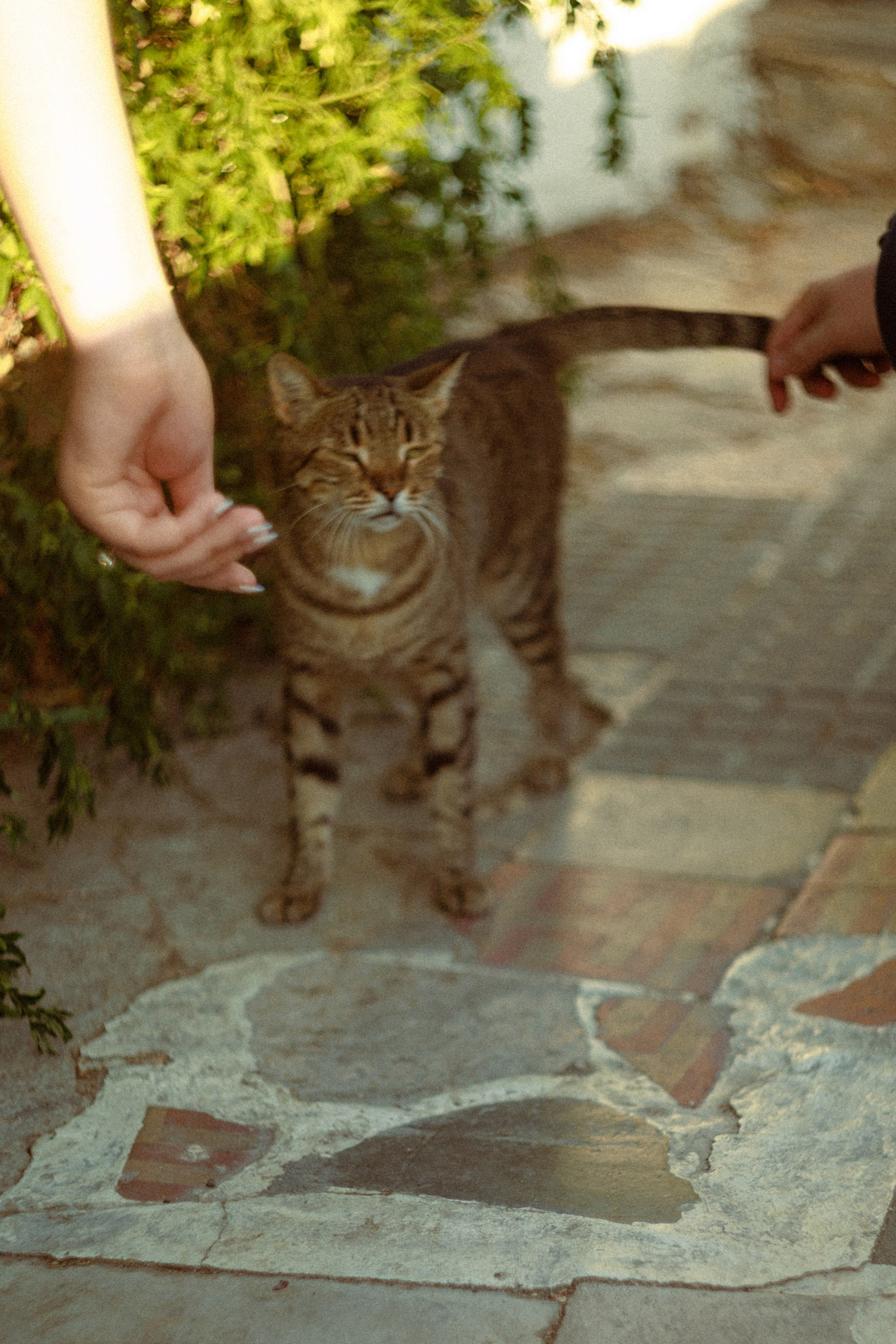 Tim’s proposal to Morgan. Photographer in Greece Kristina