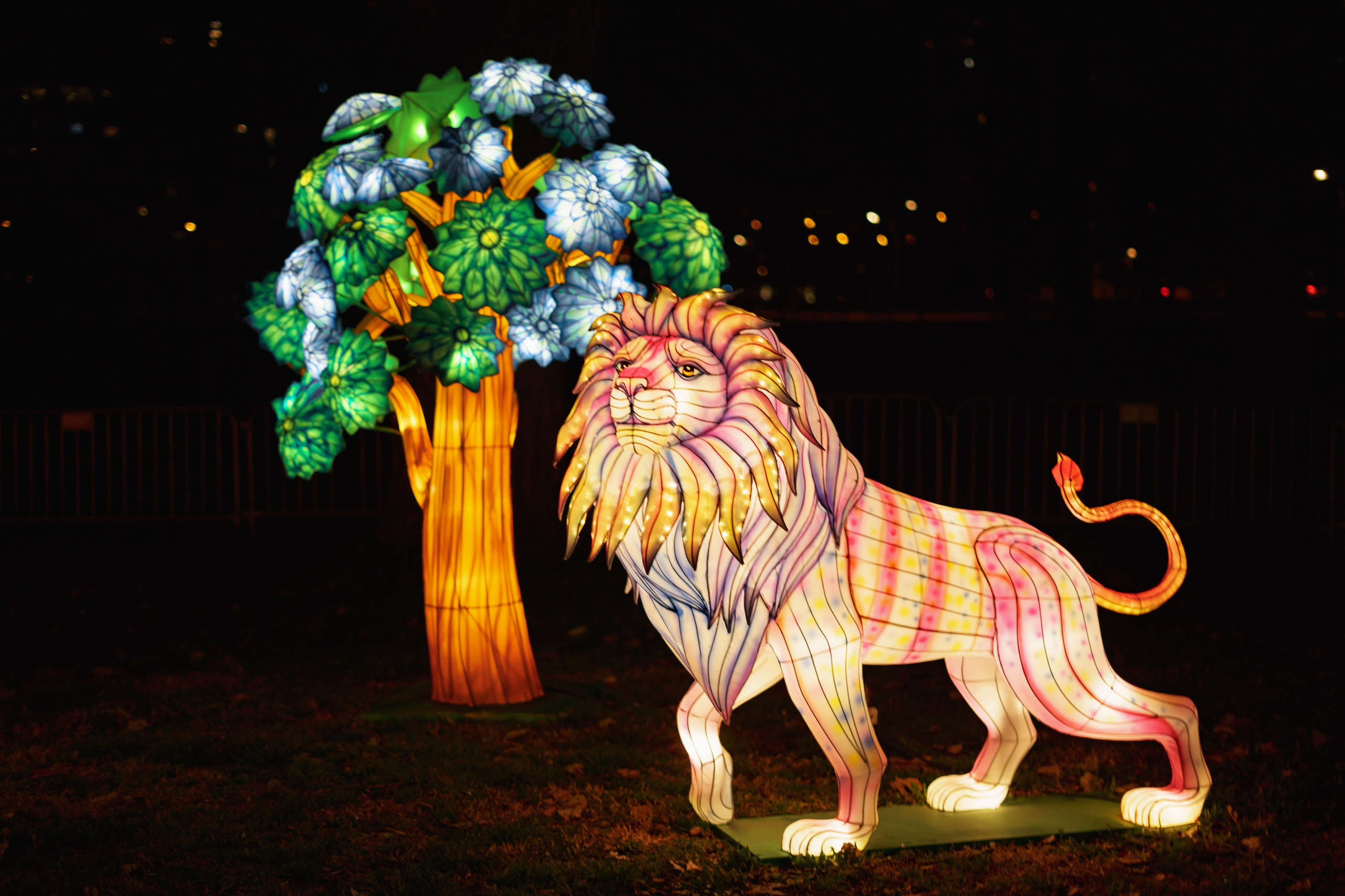 Svecano otvaranje Kineskog festivala svetla u Novom Sadu. Жуков Студио