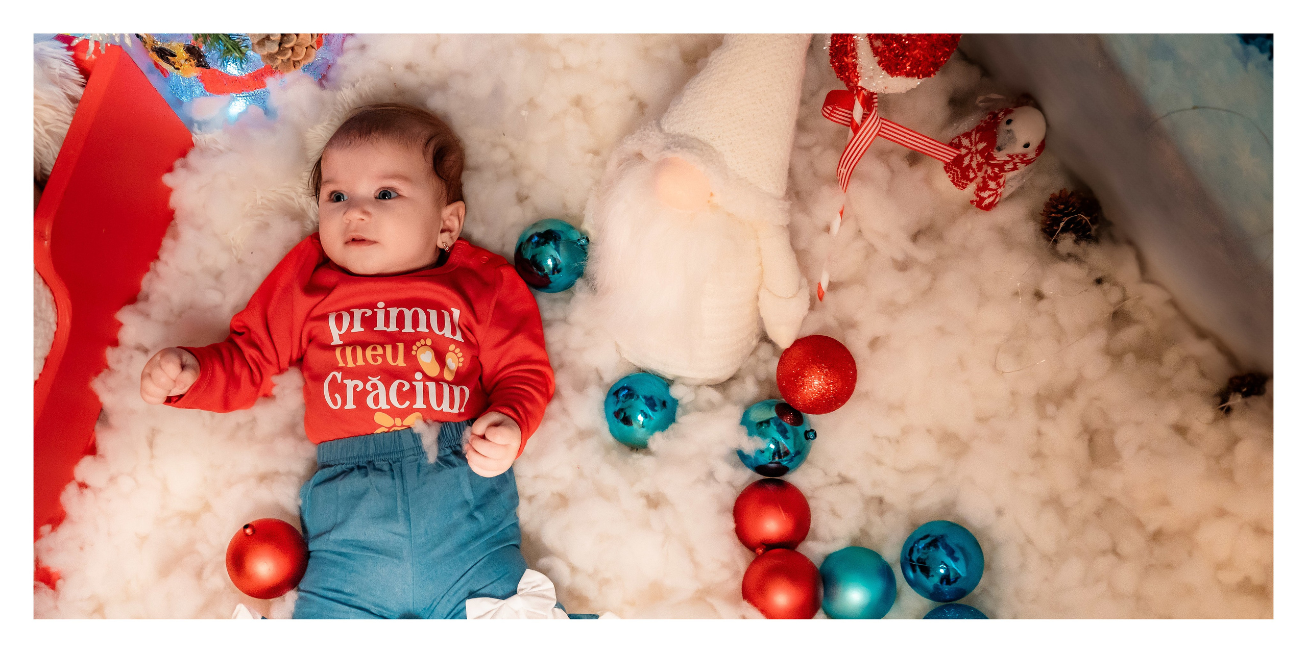 Albumul Craciun Cosmina