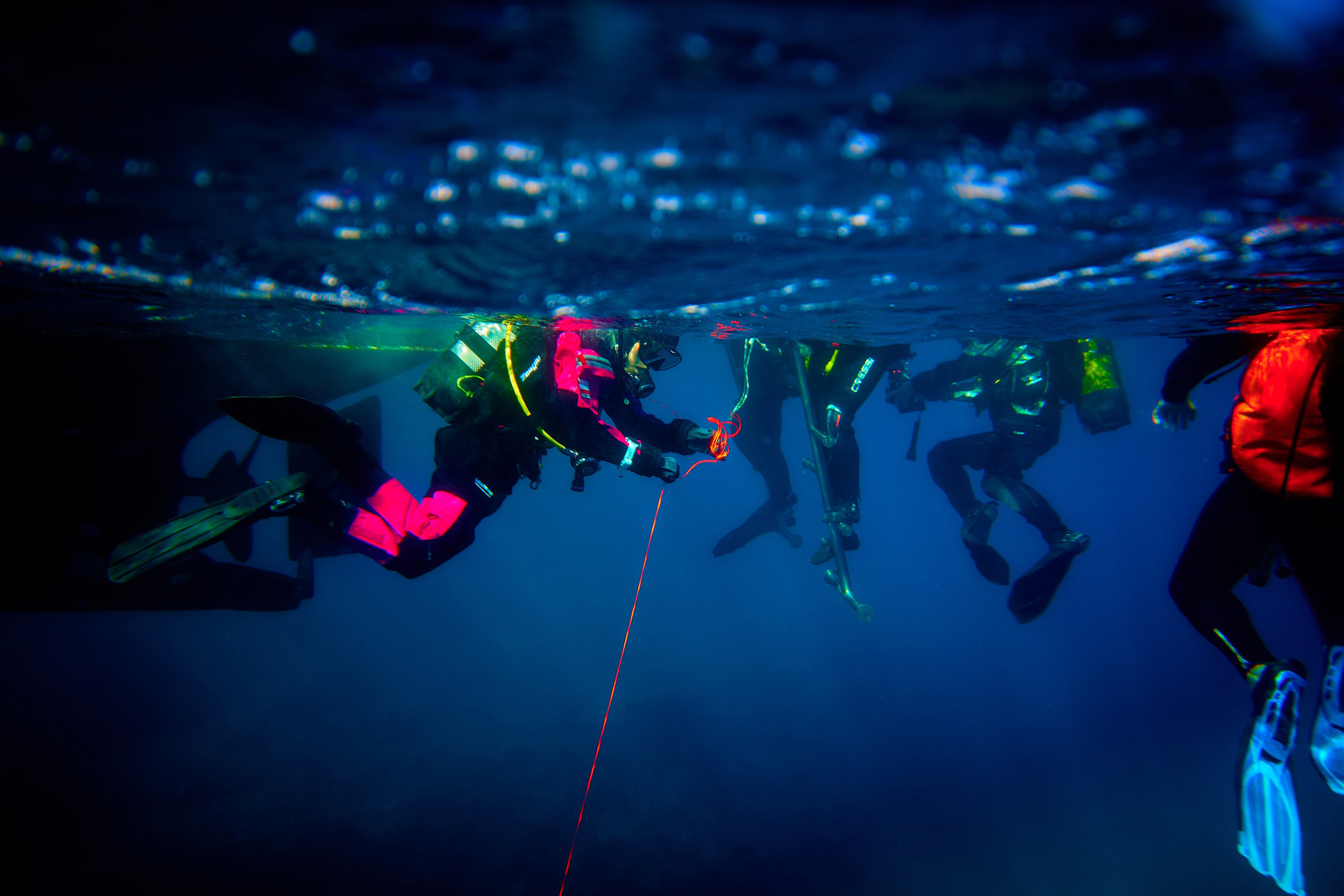 Fotograf podwodny Andriej Szypiłow. Andriej Szypilow - Fotografia & Wideografia