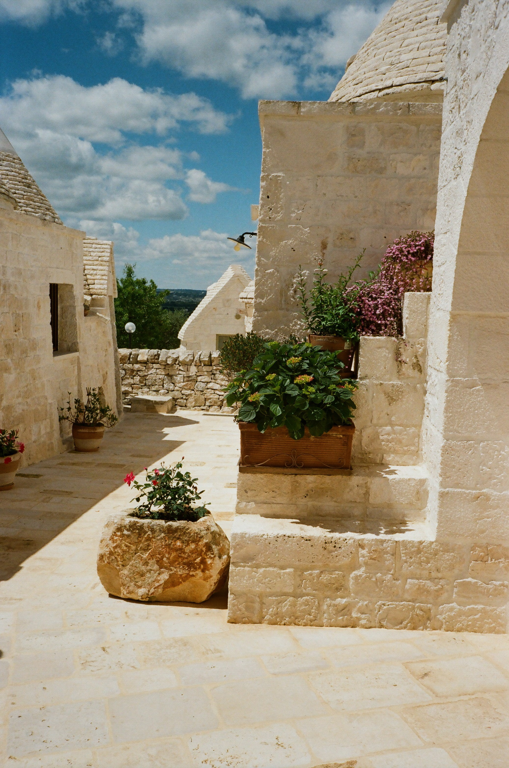 Stephanie & Christian film photos. Wedding photographer Italy