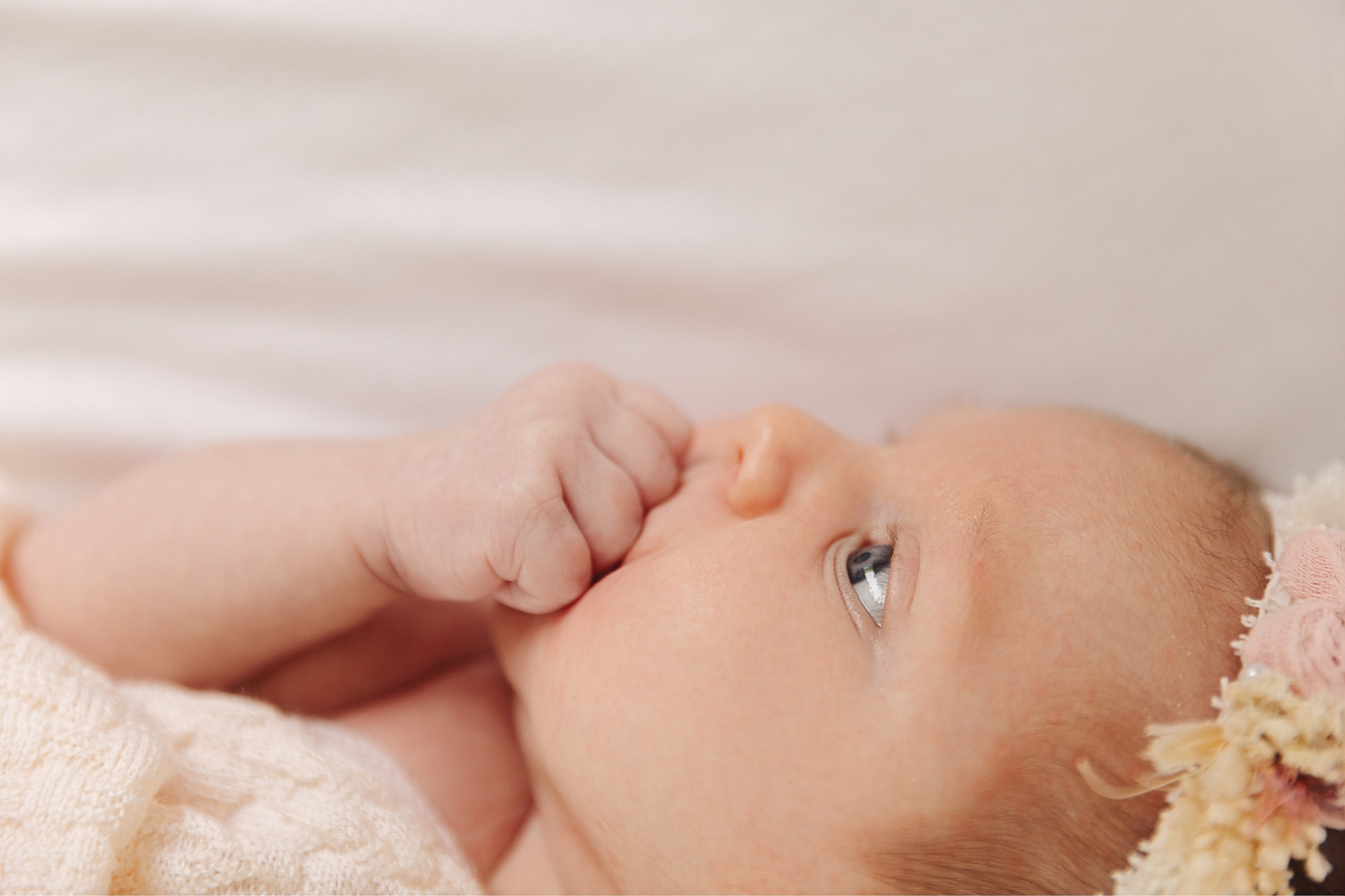 Babybauch & Newborn. Oxana Gruber Fotograf