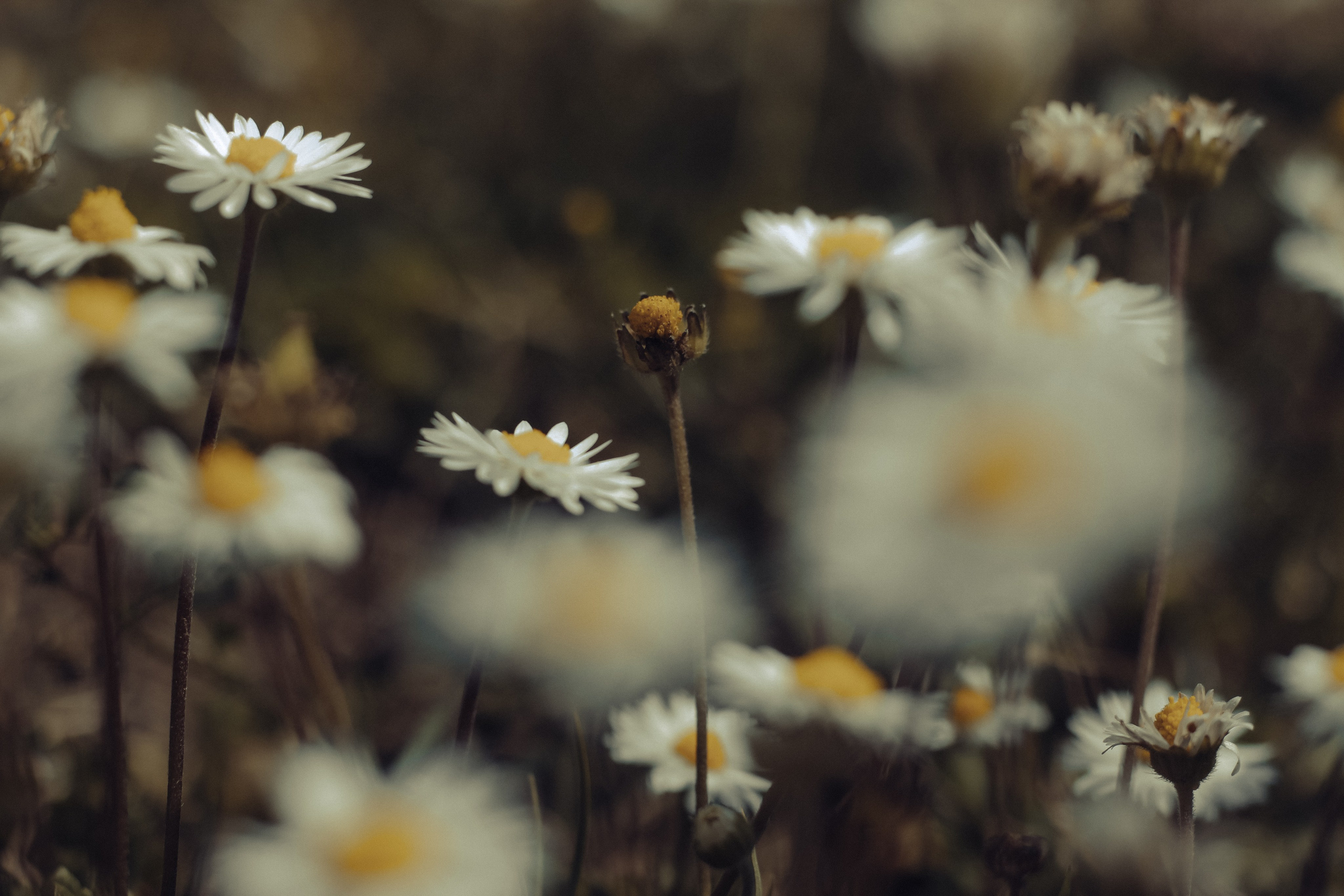 People. Photographe à la Seyne sur Mer, Var