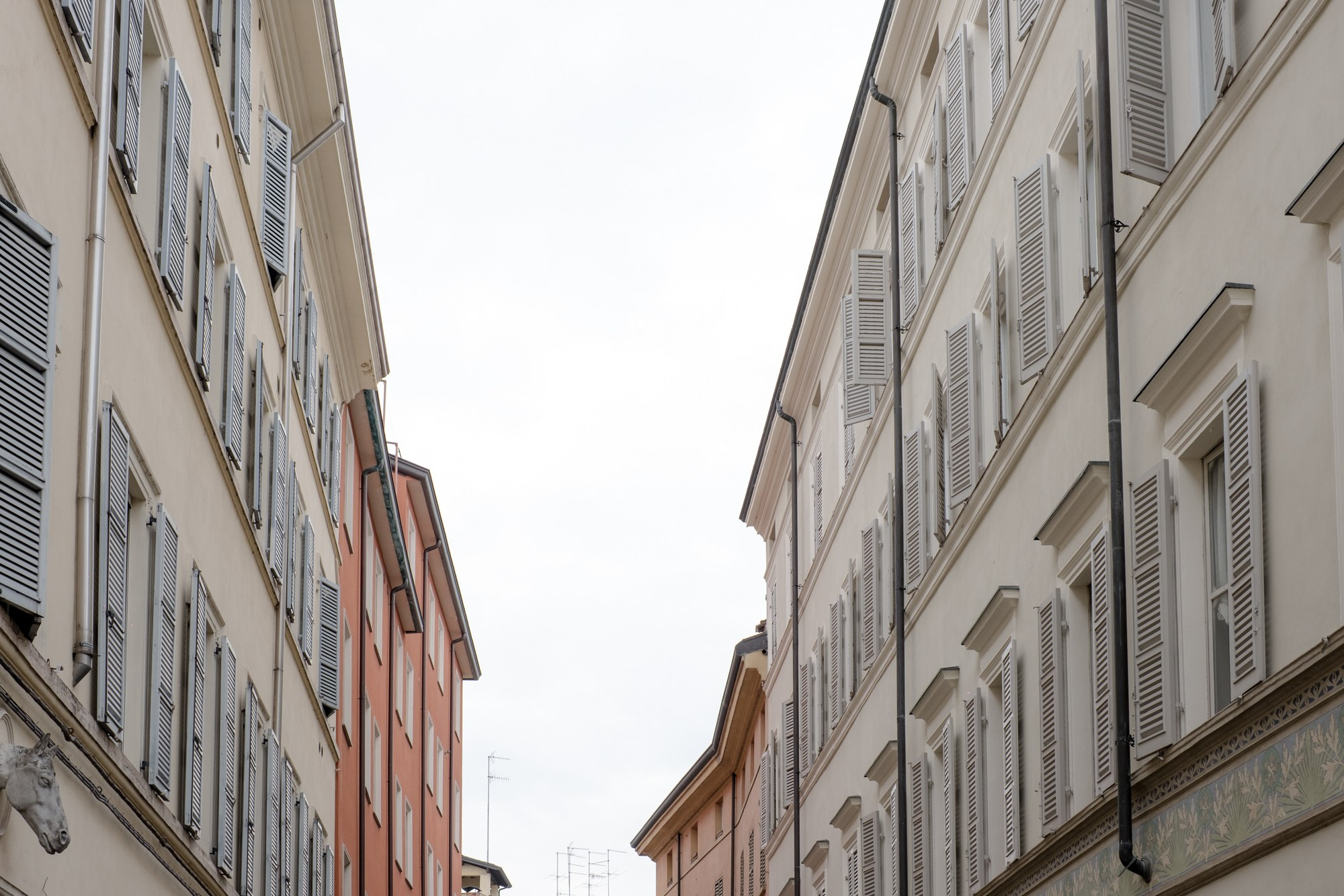 Alfredo & Omega. Grosu Photography