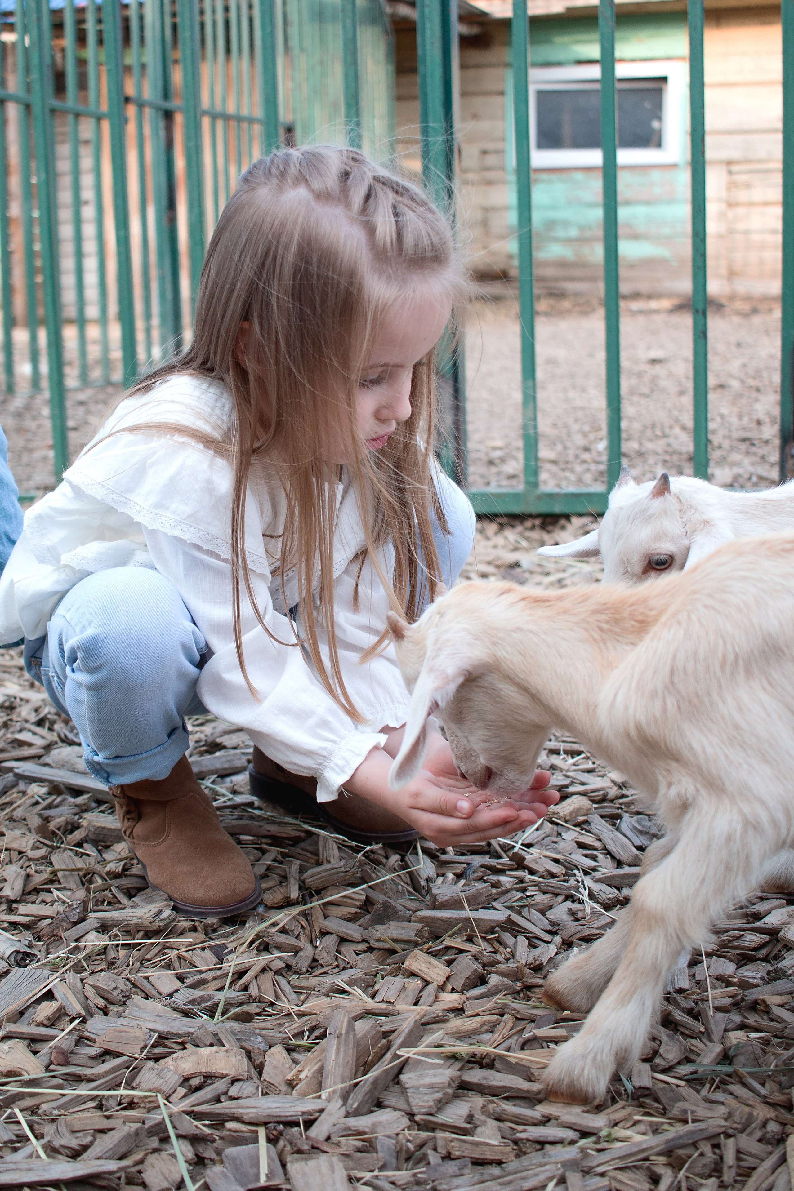 Конюшня. Детский и семейный фотограф в г. Бельцы