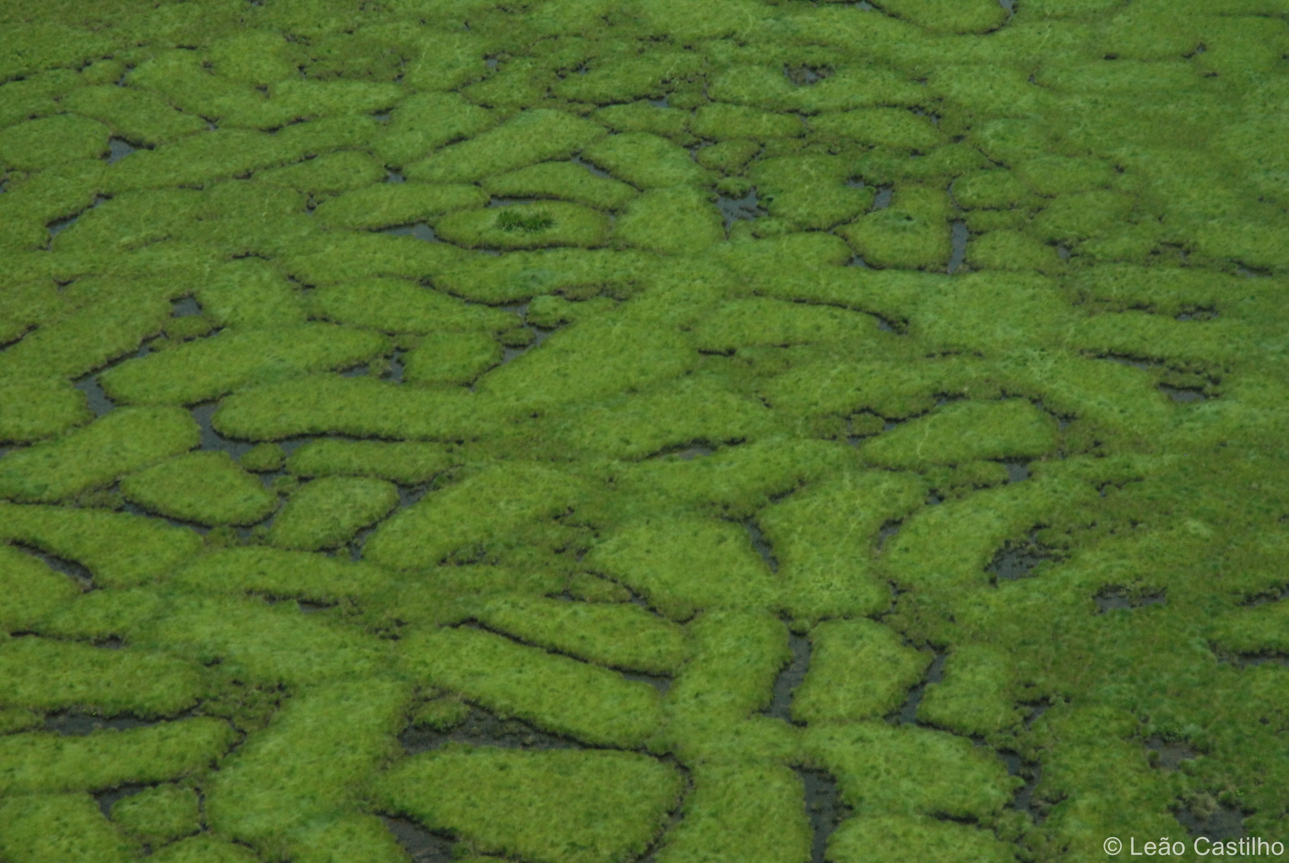 Aerial photos. Simbahalu