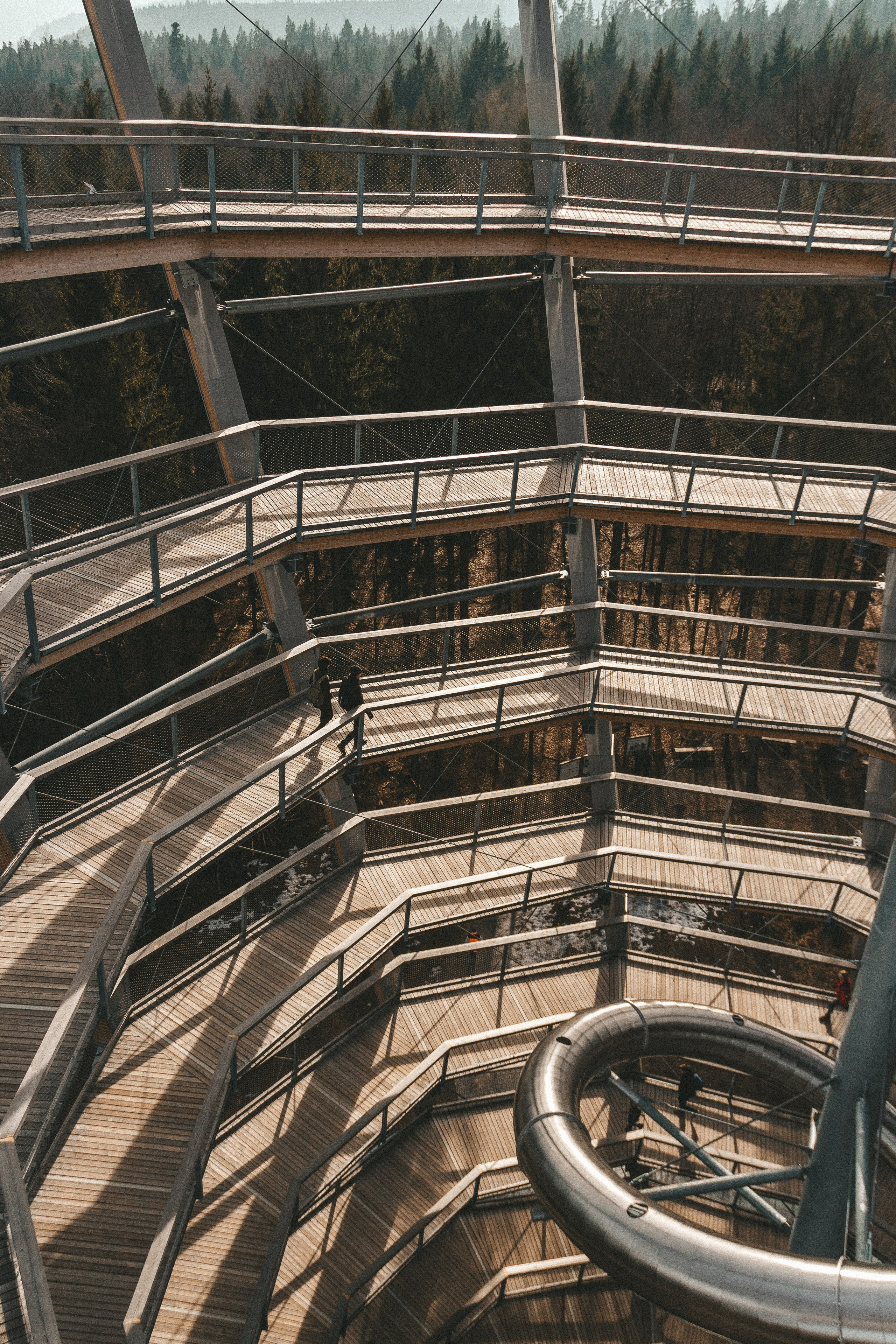 Над вершинами деревьев Baumwipfelpfad. Фотограф в Германии — Мария Чистякова