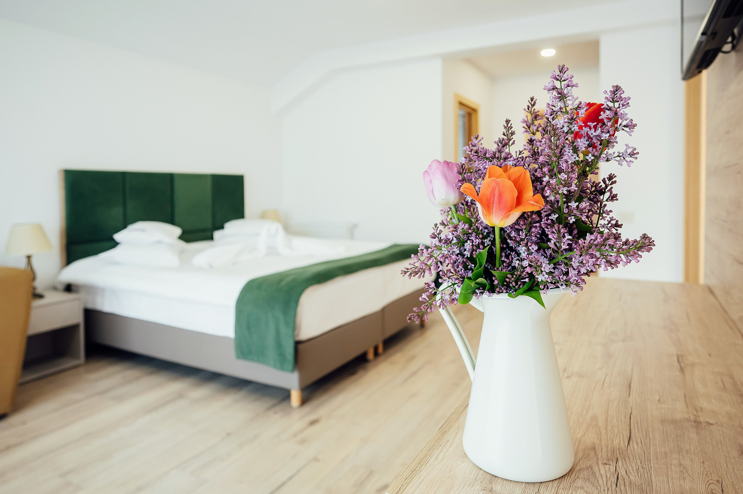 Pensiuni. George Boicu — Fotograf — Gura Humorului