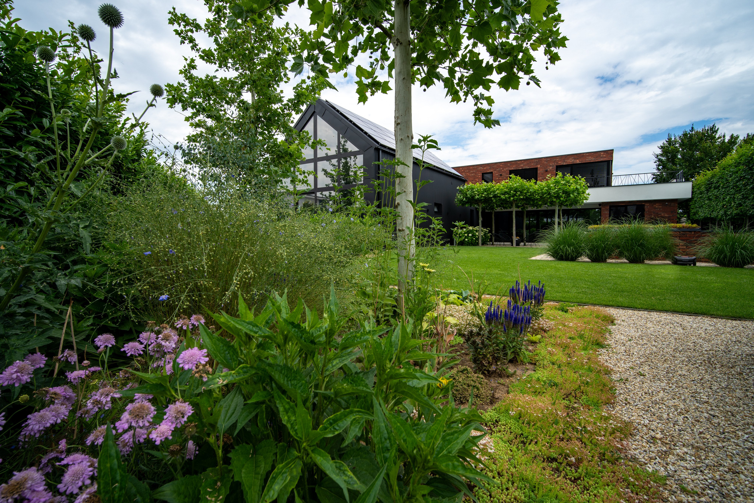 BEŽECKÁ 11. Photographer and videographer in Norway and Slovakia Andrea Zemko