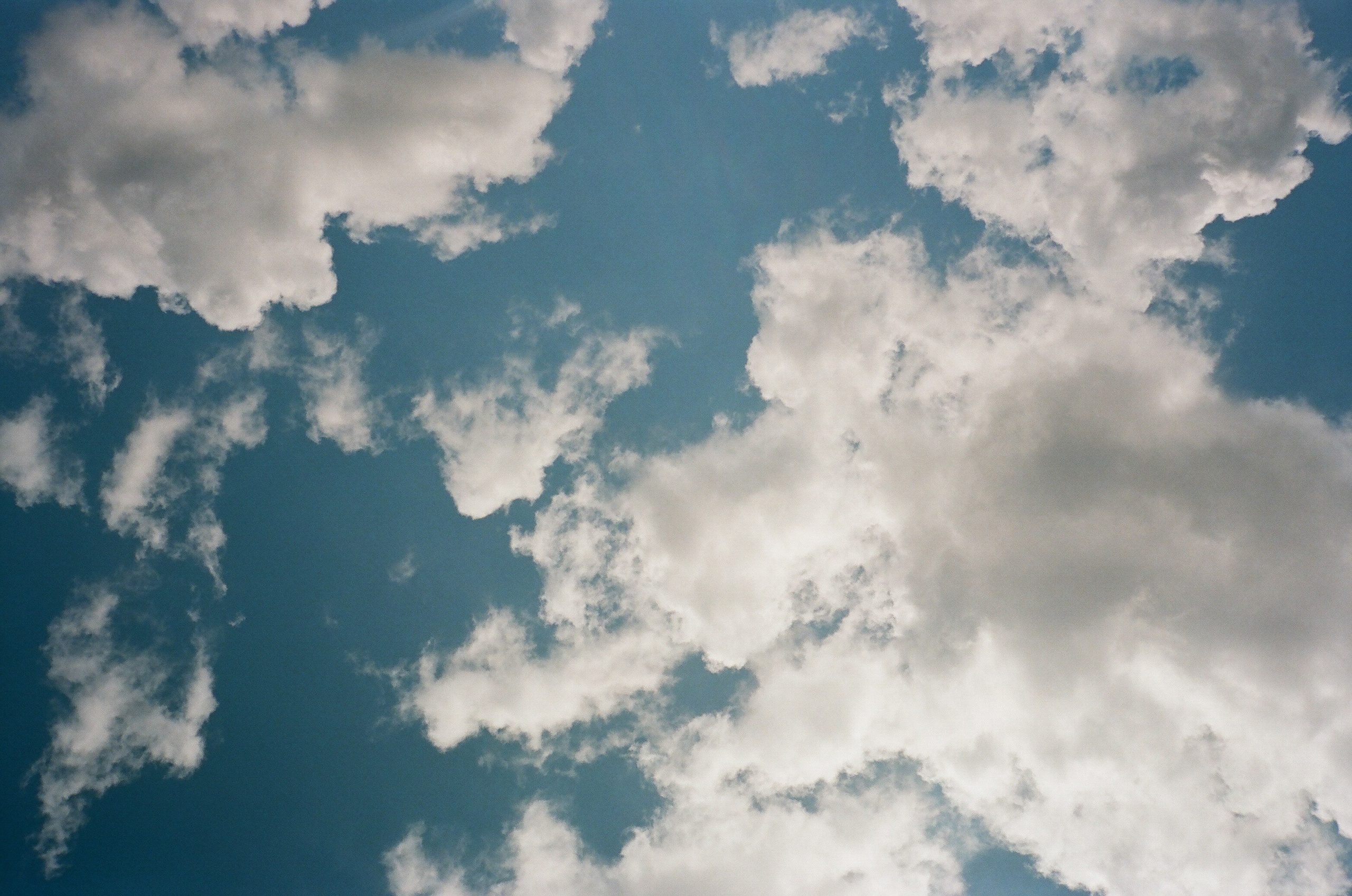 Stephanie & Christian film photos. Wedding photographer Italy