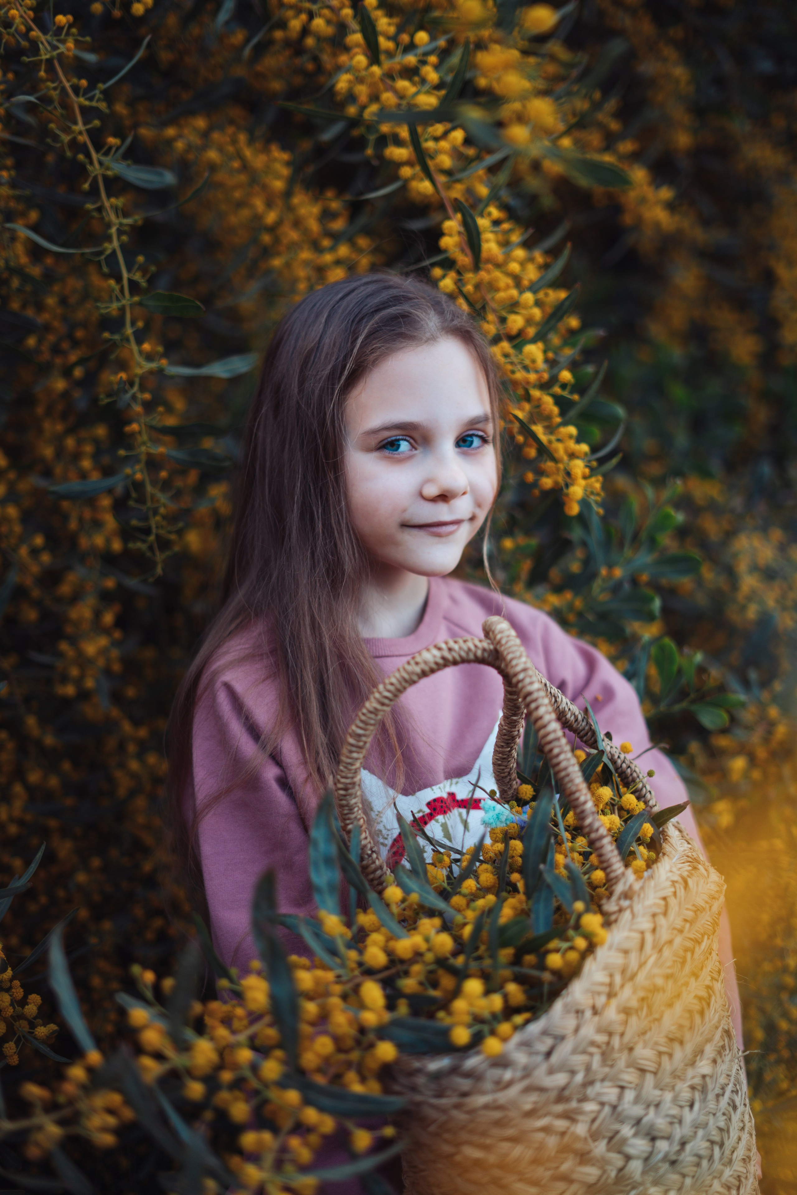 Мимоза. Анастасия Благова — Твой фотограф в Малаге 🇪🇸